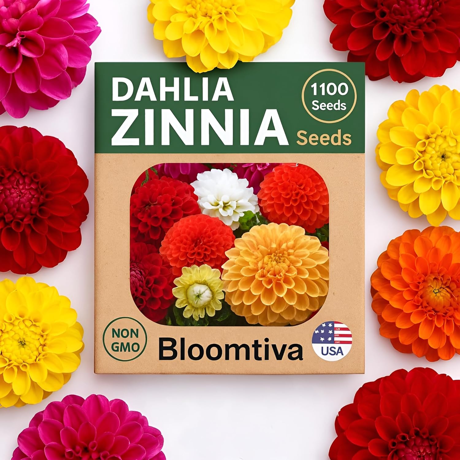 30+ Seeds Pompon Dahlia - Flower Mix - Hình 13