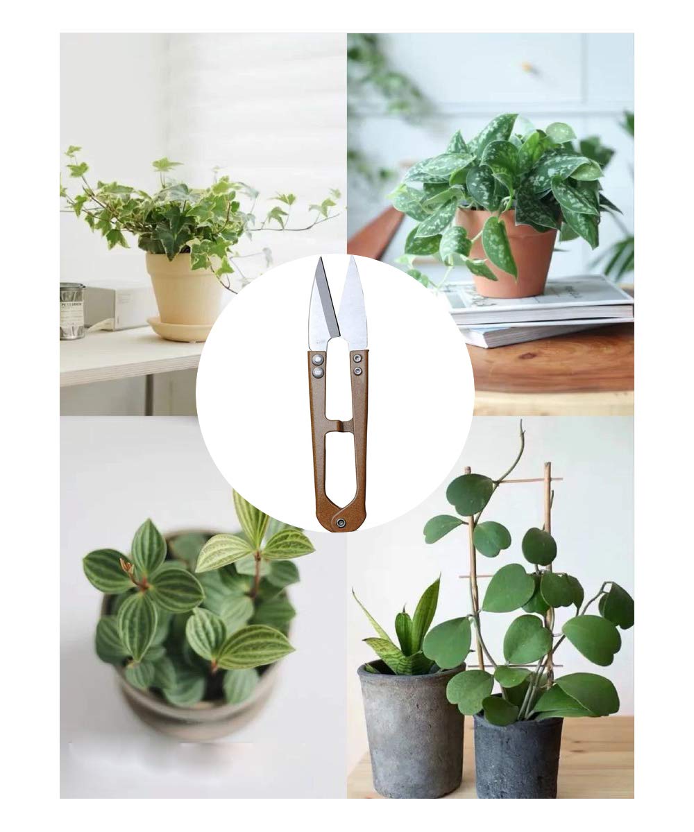 MUUZLL 3 Pack 4.1Inch Bonsai Pruning Scissors, Bud And Leaves Trimmer Yarn Thread Cutter Snips Trimming Supplies, Garden Plants, Gardening Clippers Flower, Stainless Steel Pruners Trimmers - Hình 7