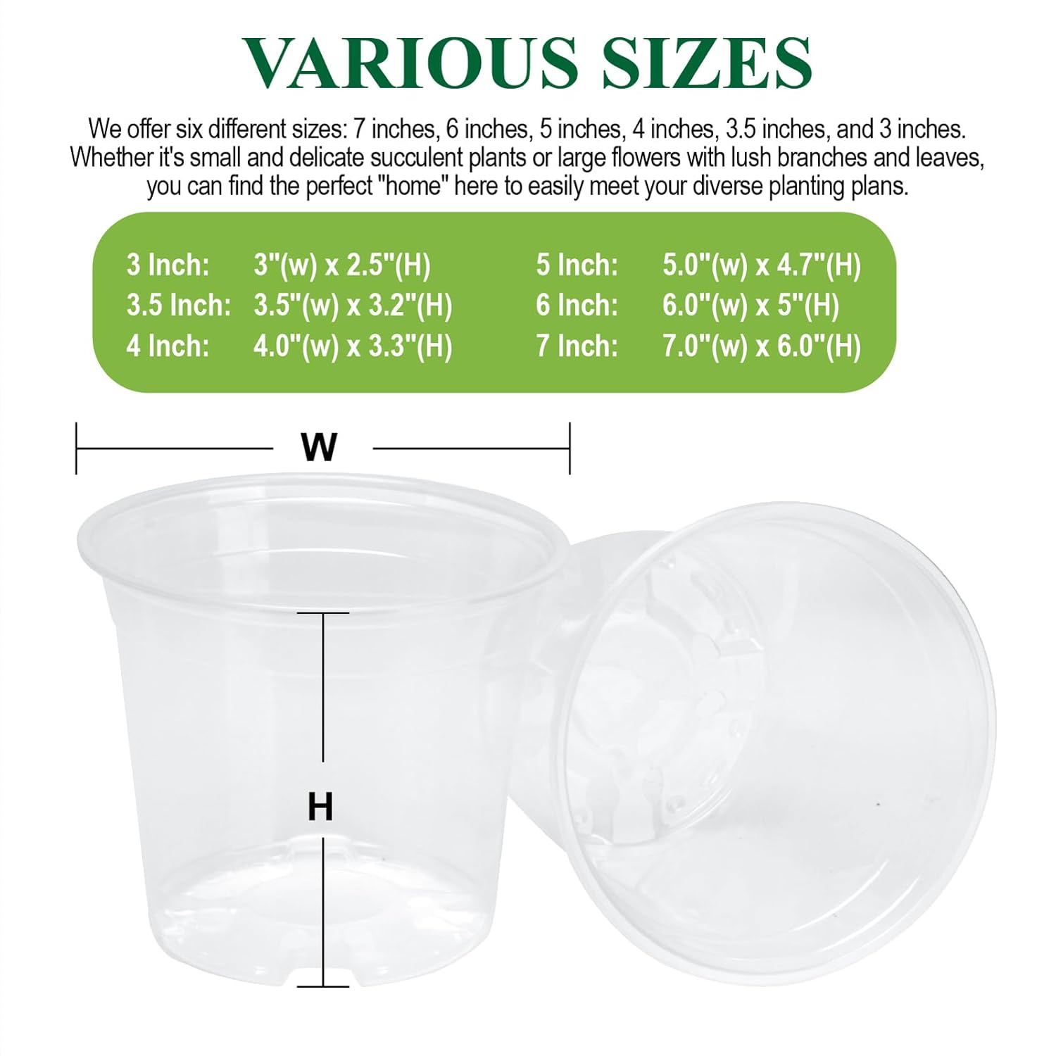 Clear Nursery Pots with Drainage Holes-36 Pack 3/4/5Inch Transparent Plastic Plant Pots for Seed Starting, High Visibility Root Growth Monitoring&50Plant Labels (Transparency-no Lid, 3/4/5in-36p) - Hình 3