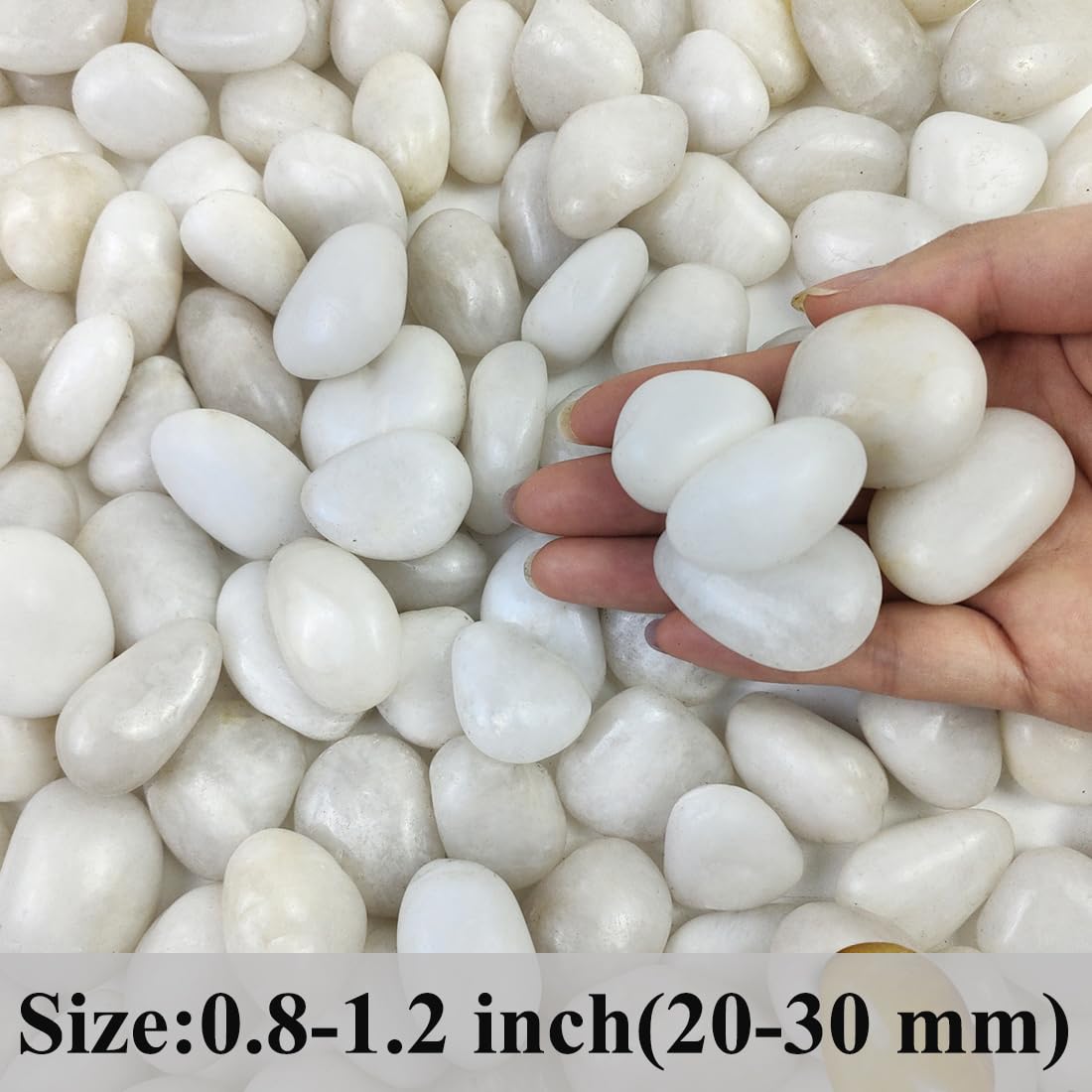 FANTIAN 2 lbs Small White Pebbles for Plants, 0.8-1.2 inch Decorative River Rocks for Plants, Aquariums, Landscaping. White Stones for Planter Vase and Outdoor Garden Rocks - Hình 2