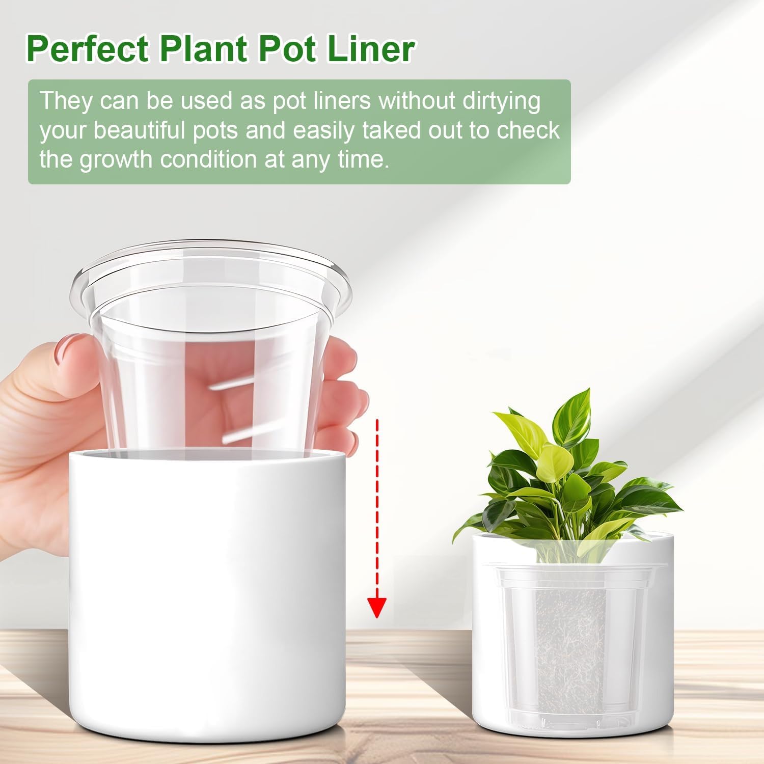 SupKing 5 Inch Clear Plant Nursery Pots Durable Plastic Seed Starter 8 Packs Large Orchid Flower Pot with Drainage Holes for Transplanting Succulents Cuttings Seedlings Bonus 15 Labels - Hình 5