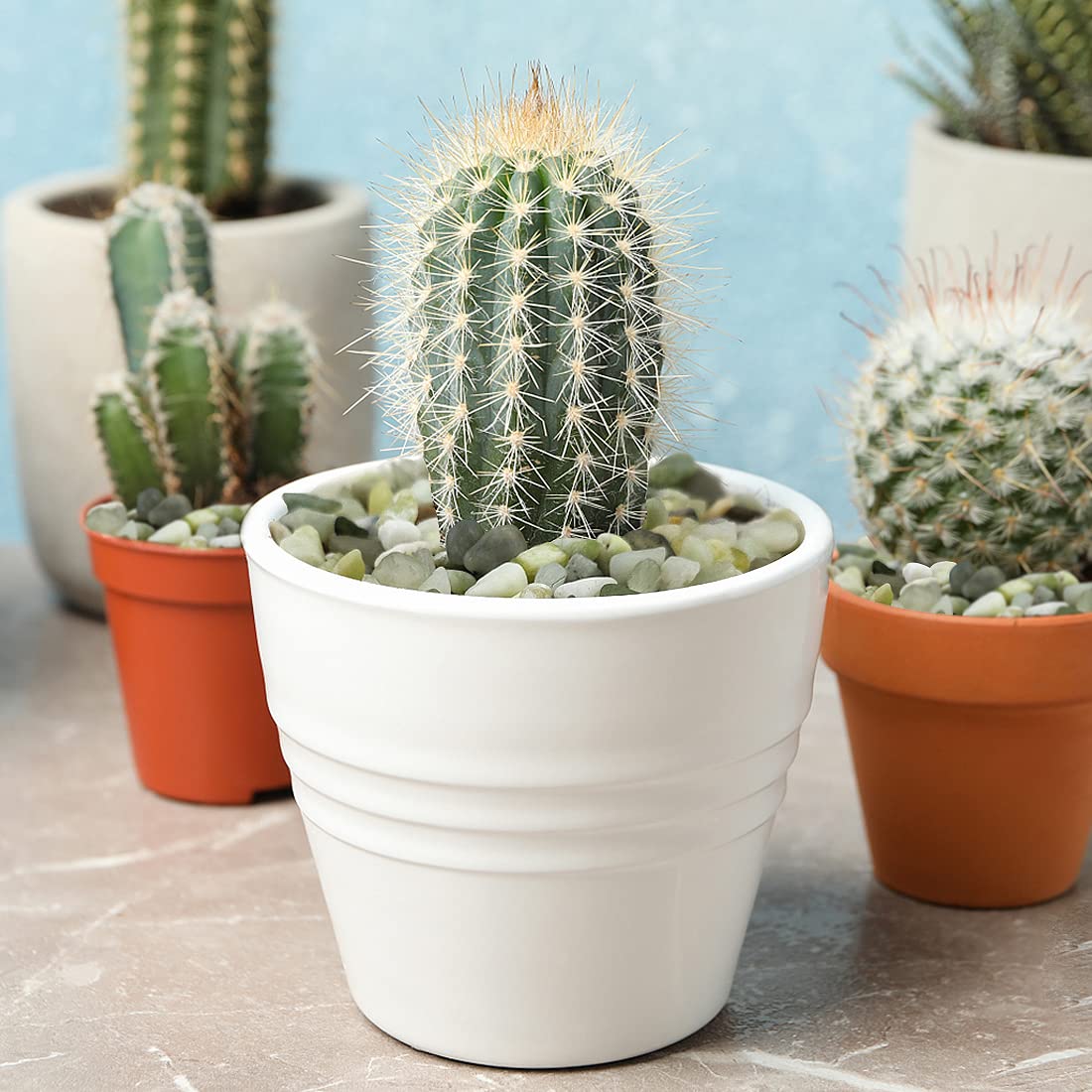 YISZM 2LB Succulent and Cactus Jade Pebbles, 3/8 Inch Natural Decorative Polished Stones, River Rocks for Indoor Plants, Vases, Planters and Outdoor Gardening - Hình 2