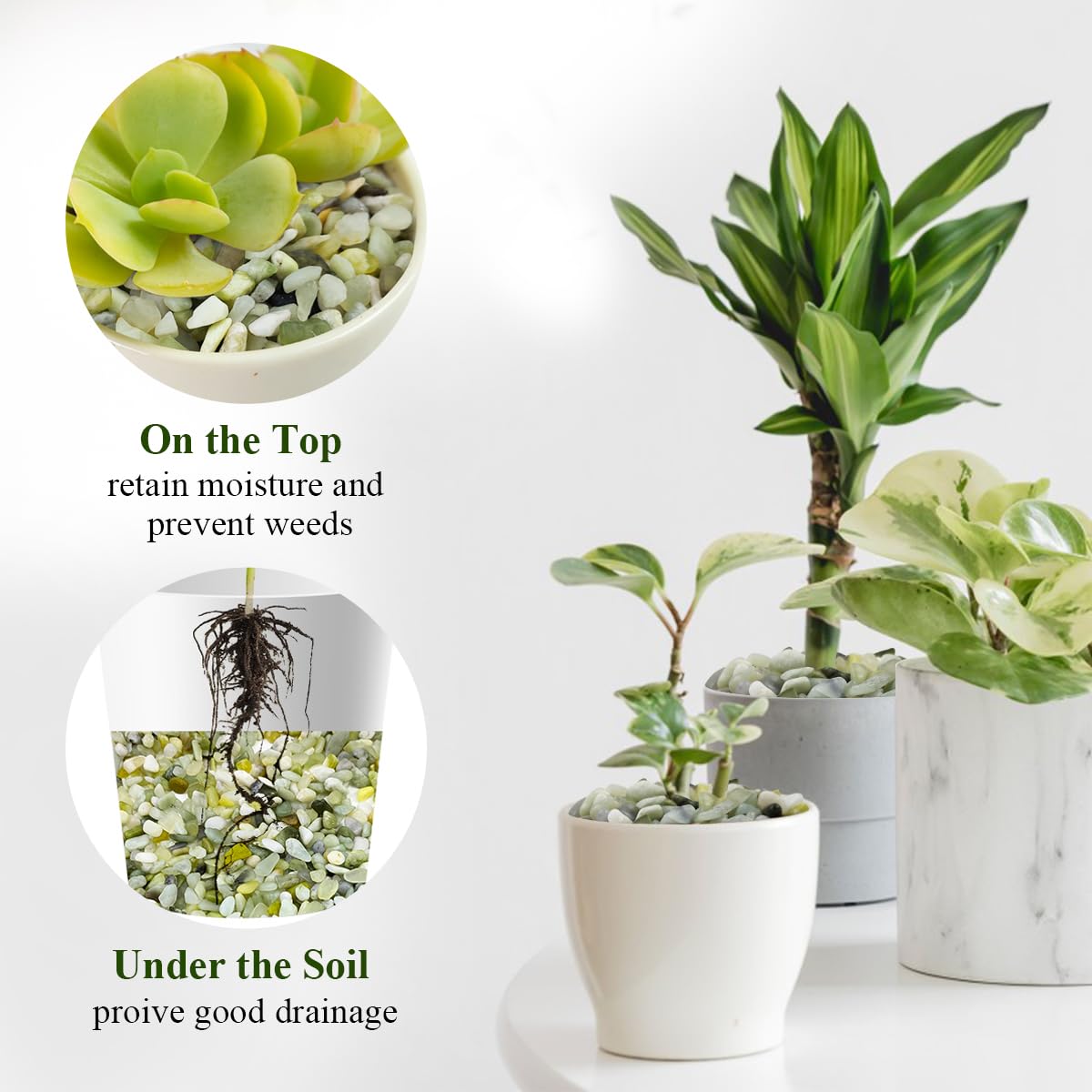 FANTIAN 2 lbs Jade Rocks for Plants Indoor, 3/8 inch Small Pebbles for Indoor Plants, Decorative Rocks for Succulents Cactus Bamboo Vases Landscaping Drainage and Outdoor Garden Rocks - Hình 4