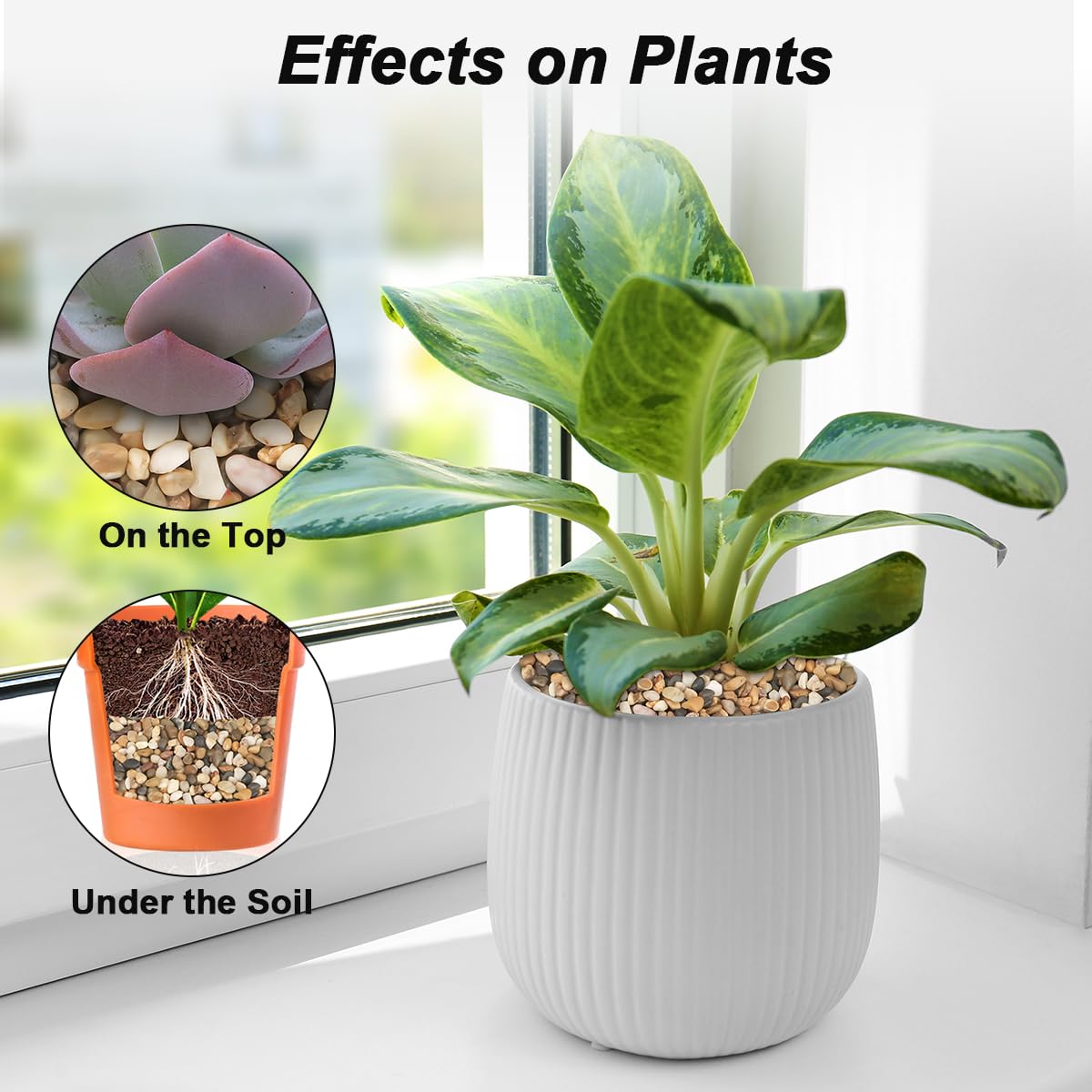 River Rocks,Landscaping Pebbles Decorative Ornamental Pebbles Garden Landscaping Stones Gravel Filler for Home Decoration Flower Bed Fish Tank Plants Vases Succulents (1, Mixed Color, 1 Pound) - Hình 3