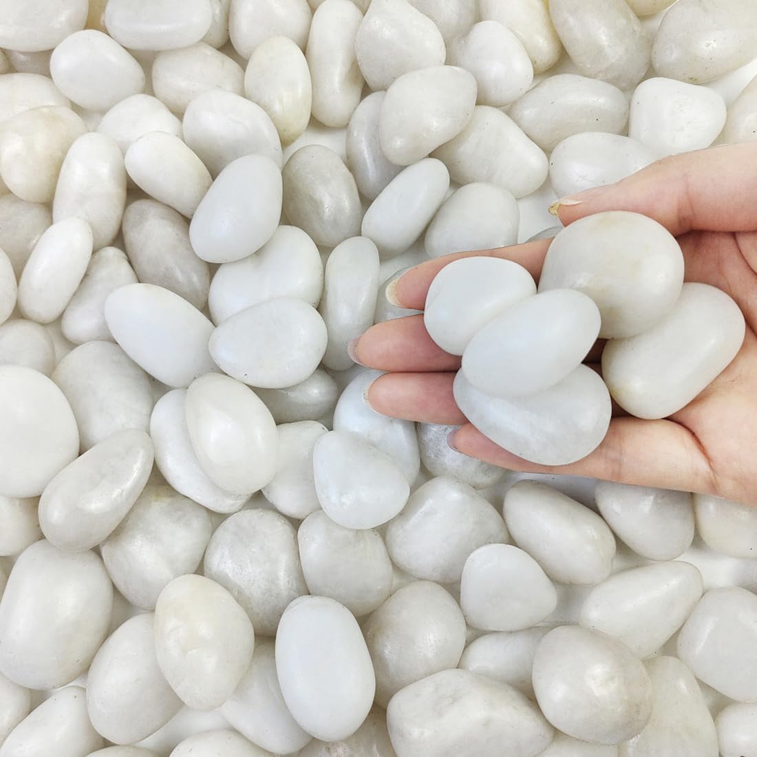 FANTIAN 2 lbs Small White Pebbles for Plants, 0.8-1.2 inch Decorative River Rocks for Plants, Aquariums, Landscaping. White Stones for Planter Vase and Outdoor Garden Rocks - Amazon.com: FANTIAN 2 lbs Small White Pebbles for ...