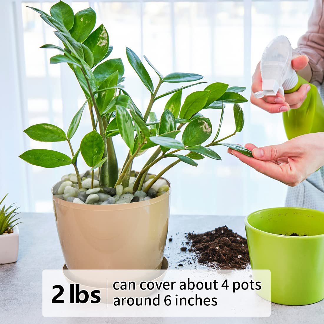 YISZM 2LB Succulent and Cactus Jade Pebbles, 3/8 Inch Natural Decorative Polished Stones, River Rocks for Indoor Plants, Vases, Planters and Outdoor Gardening - Hình 5