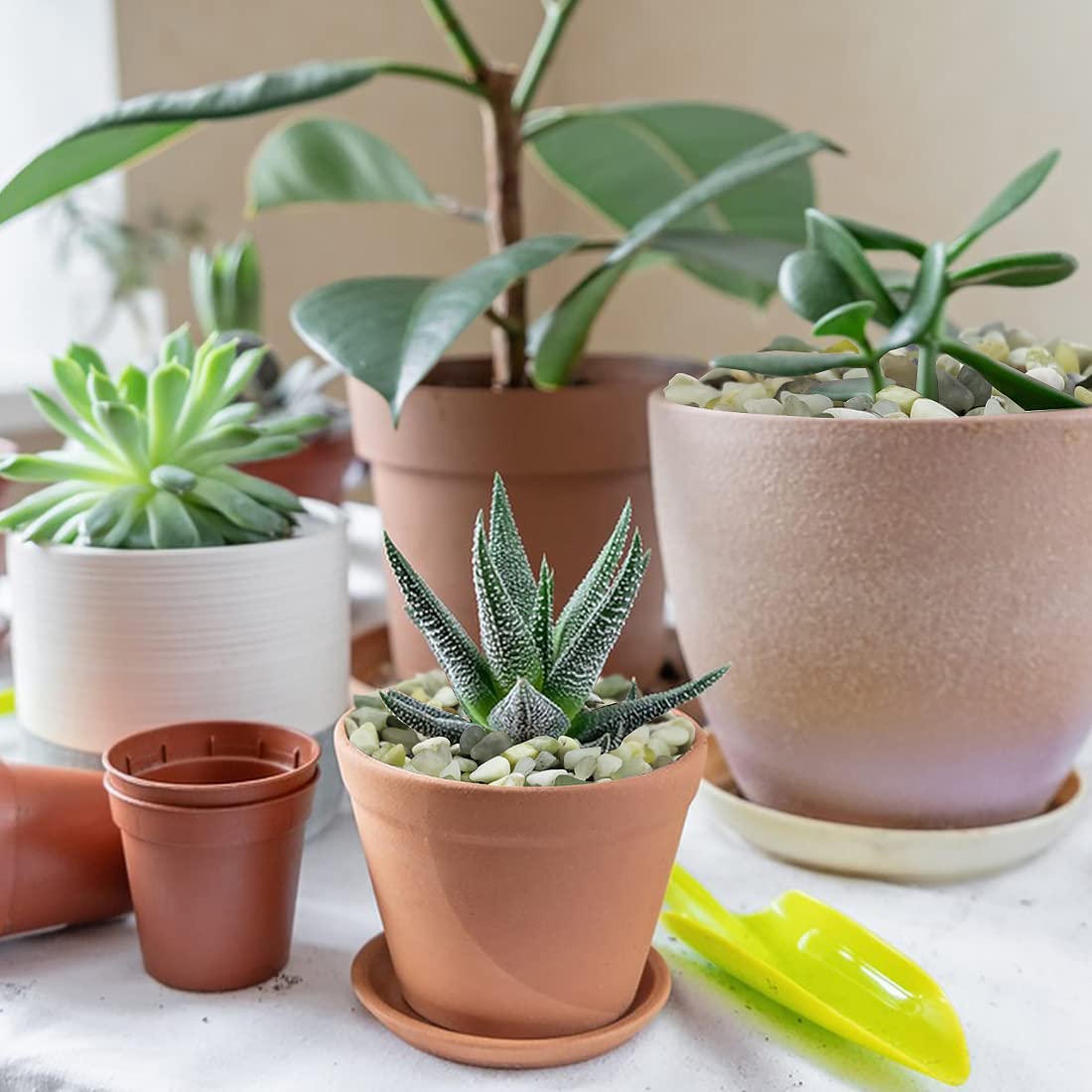 YISZM 2LB Succulent and Cactus Pebbles, 1/5 Inch Jade Natural Decorative Polished Stones, River Rocks for for Indoor Plants, Vases, Planters and Outdoor Gardening - Hình 2