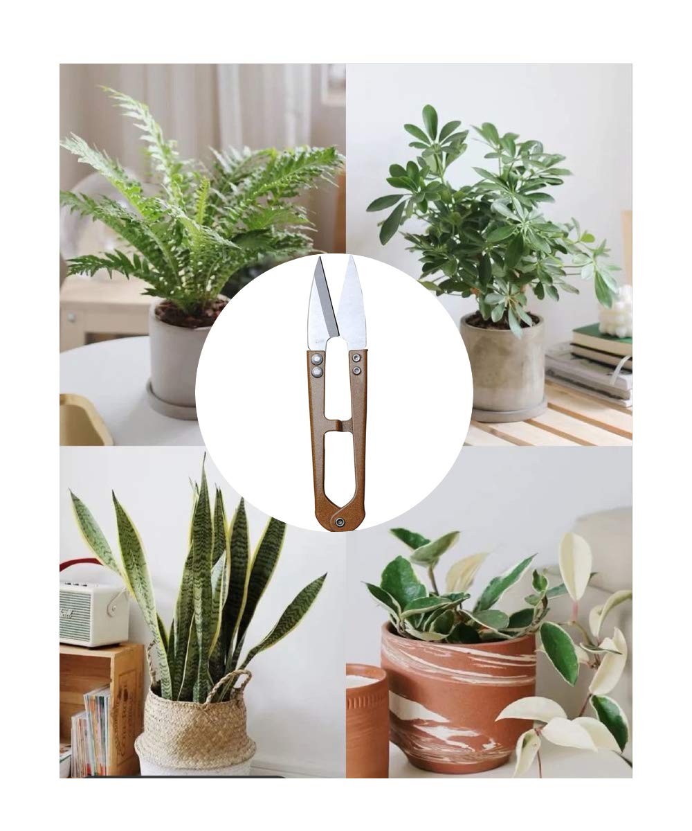 MUUZLL 3 Pack 4.1Inch Bonsai Pruning Scissors, Bud And Leaves Trimmer Yarn Thread Cutter Snips Trimming Supplies, Garden Plants, Gardening Clippers Flower, Stainless Steel Pruners Trimmers - Hình 6