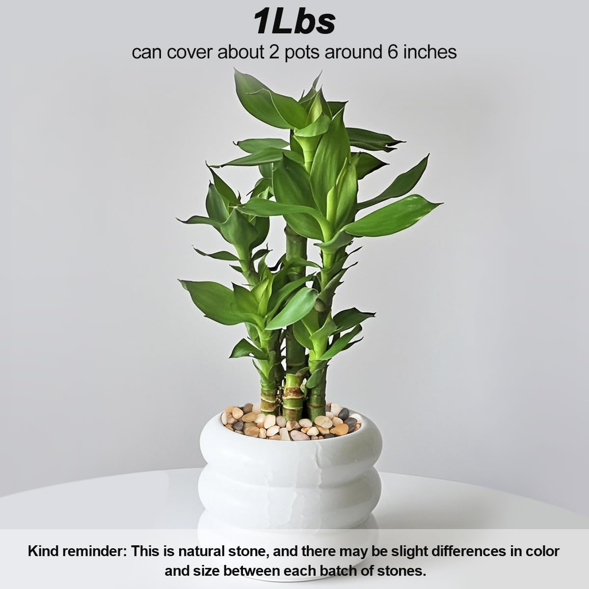 River Rocks,Landscaping Pebbles Decorative Ornamental Pebbles Garden Landscaping Stones Gravel Filler for Home Decoration Flower Bed Fish Tank Plants Vases Succulents (1, Mixed Color, 1 Pound) - Hình 4