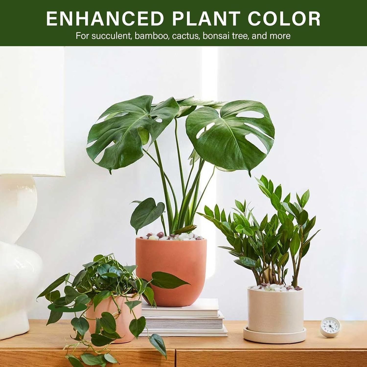 NUPICK 3 lbs Pebbles for Indoor Plants, 3/8 Inch Pea Gravel for Fish Tank, Polished Decorative Rocks for Succulent, Natural River Stones for Vases, Cactus, Landscaping, Bird Bath, Aquarium, Colorful - Hình 4