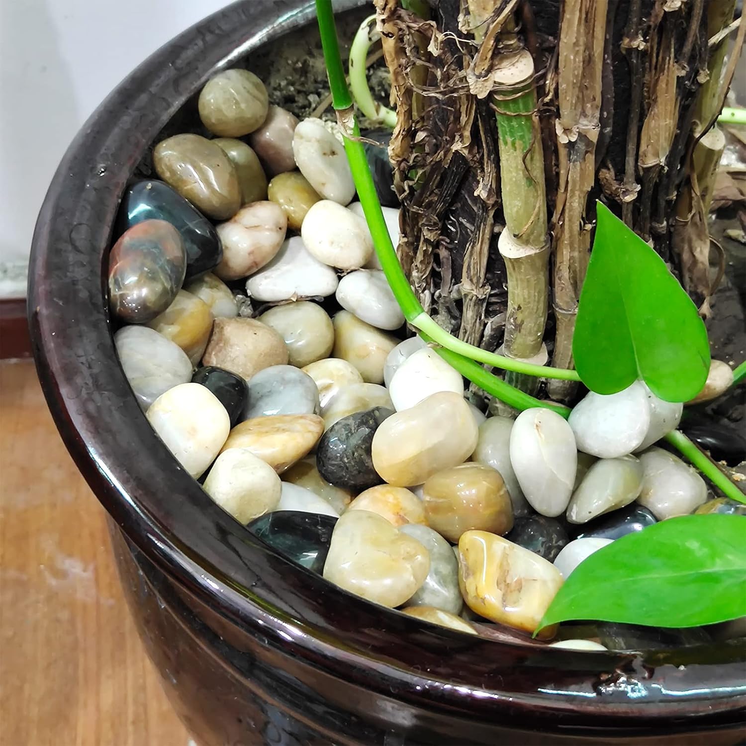 1lb Polished Pebbles for Plants,Gardens, Décor, Landscaping, Succulent, Terrarium, Decorative Rocks-Natural Stone Pebbles,Smooth Mixed Color Pebbles Gravel,Outdoor Decorative Stones - Hình 6