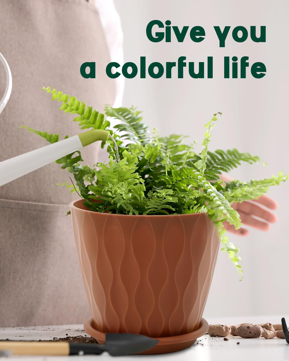 6 Inch Indoor Planter Pots with Drainage Hole and Tray Saucer,Flower Pots for Indoor Outdoor Garden Plants and Flowers, Multicolor, 4 Packs - Hình 7