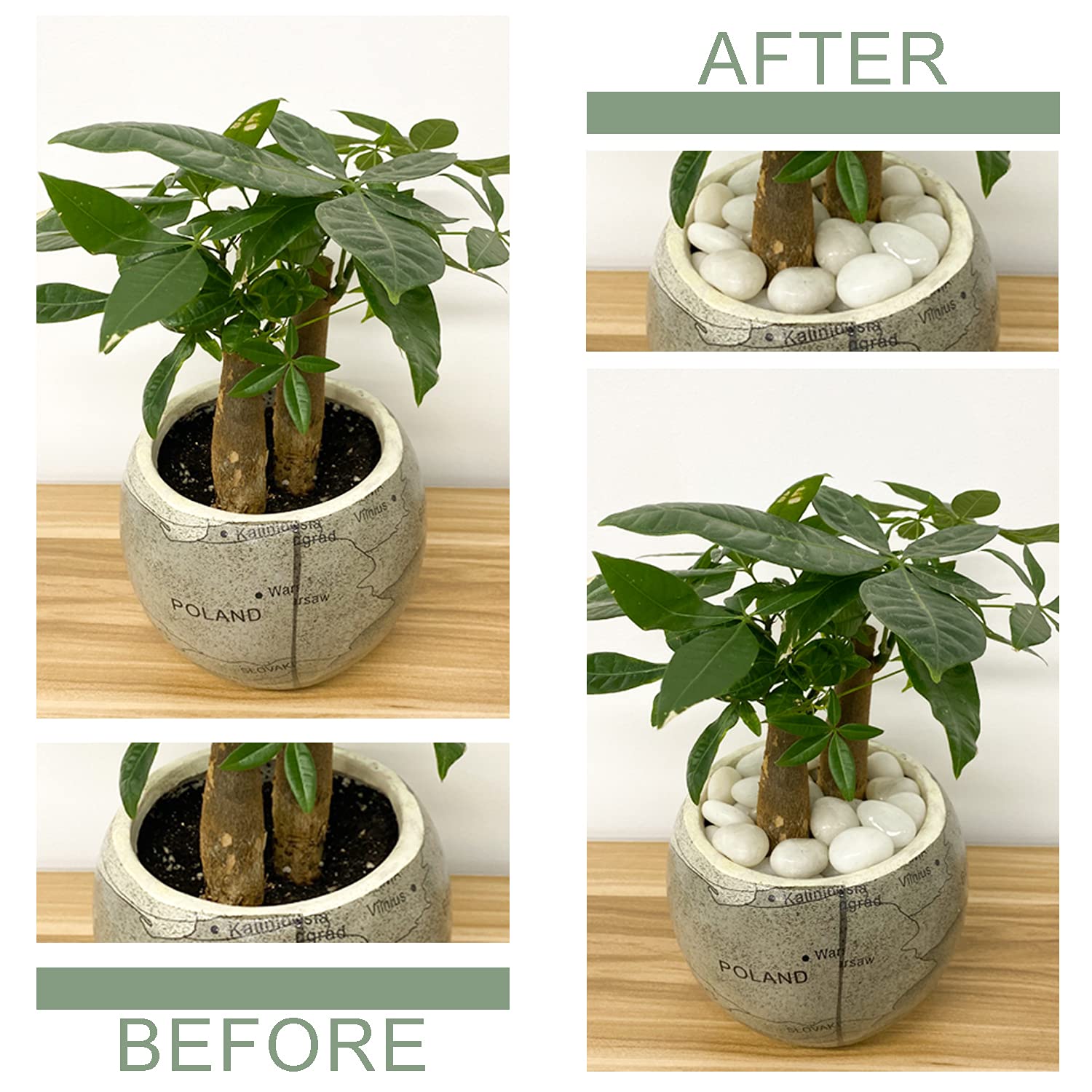 FANTIAN 2 lbs Small White Pebbles for Plants, 0.8-1.2 inch Decorative River Rocks for Plants, Aquariums, Landscaping. White Stones for Planter Vase and Outdoor Garden Rocks - Hình 4