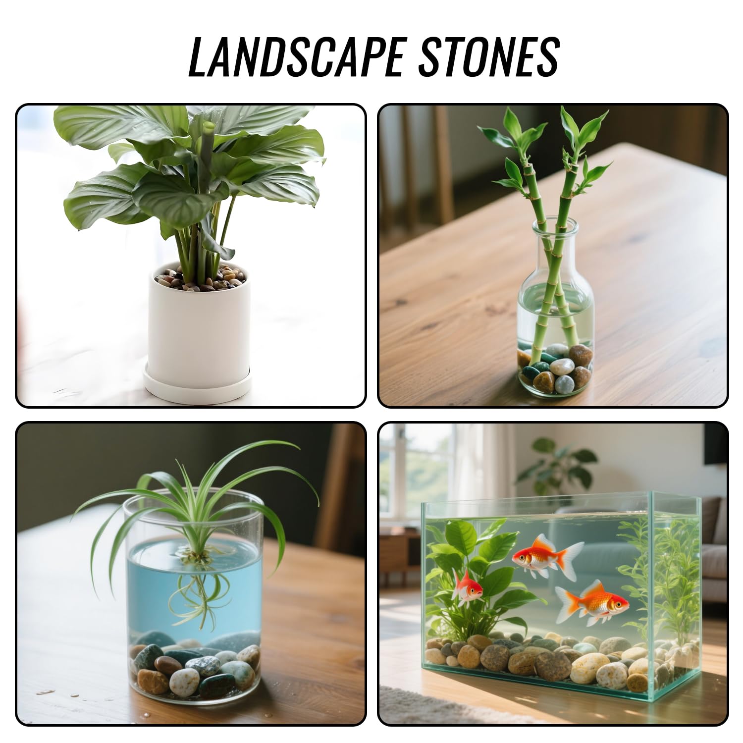 RITOLLO River Rocks Pebbles for Indoor Plants 3/8-1 Inch Natural Aquarium Gravel Decorative Fish Tank Rocks Garden Landscaping Decor - Hình 7