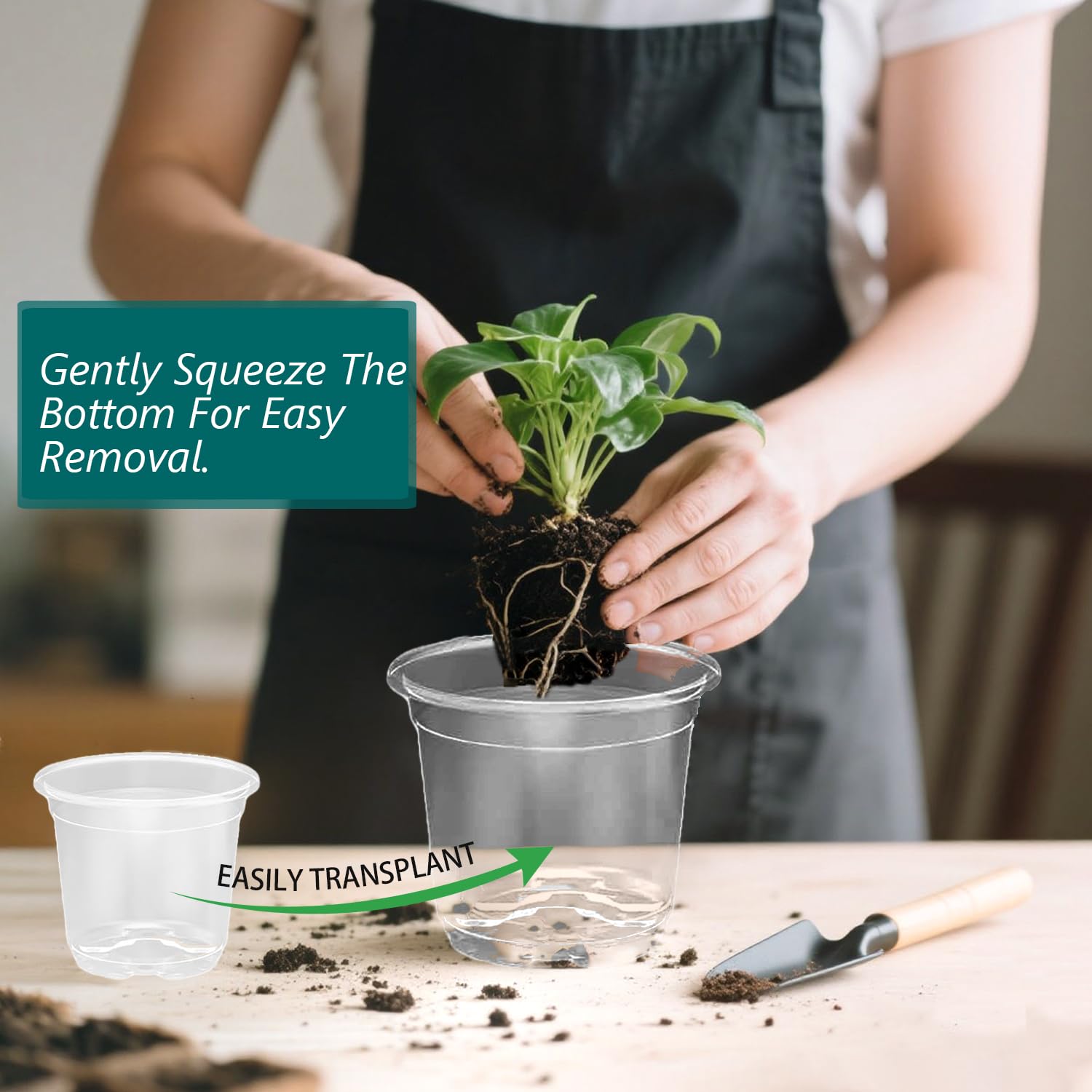 MAFONE Clear Nursery Pots 5/4/3.5 Inch, Plastic Seed Starter High Transparency Plastic Seedling Plant Pot with Drainage Holes15 Labels (15Pcs) - Hình 2