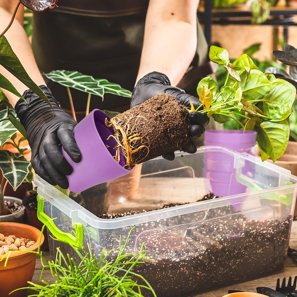 8 Pcs Flower Pots,Succulent Pots,3.8" Pots for Planting.Plastic Pot for Plants for Indoor Plants,Flower Pot for Indoor Planting,Herb Garden Planter Mini - Hình 6