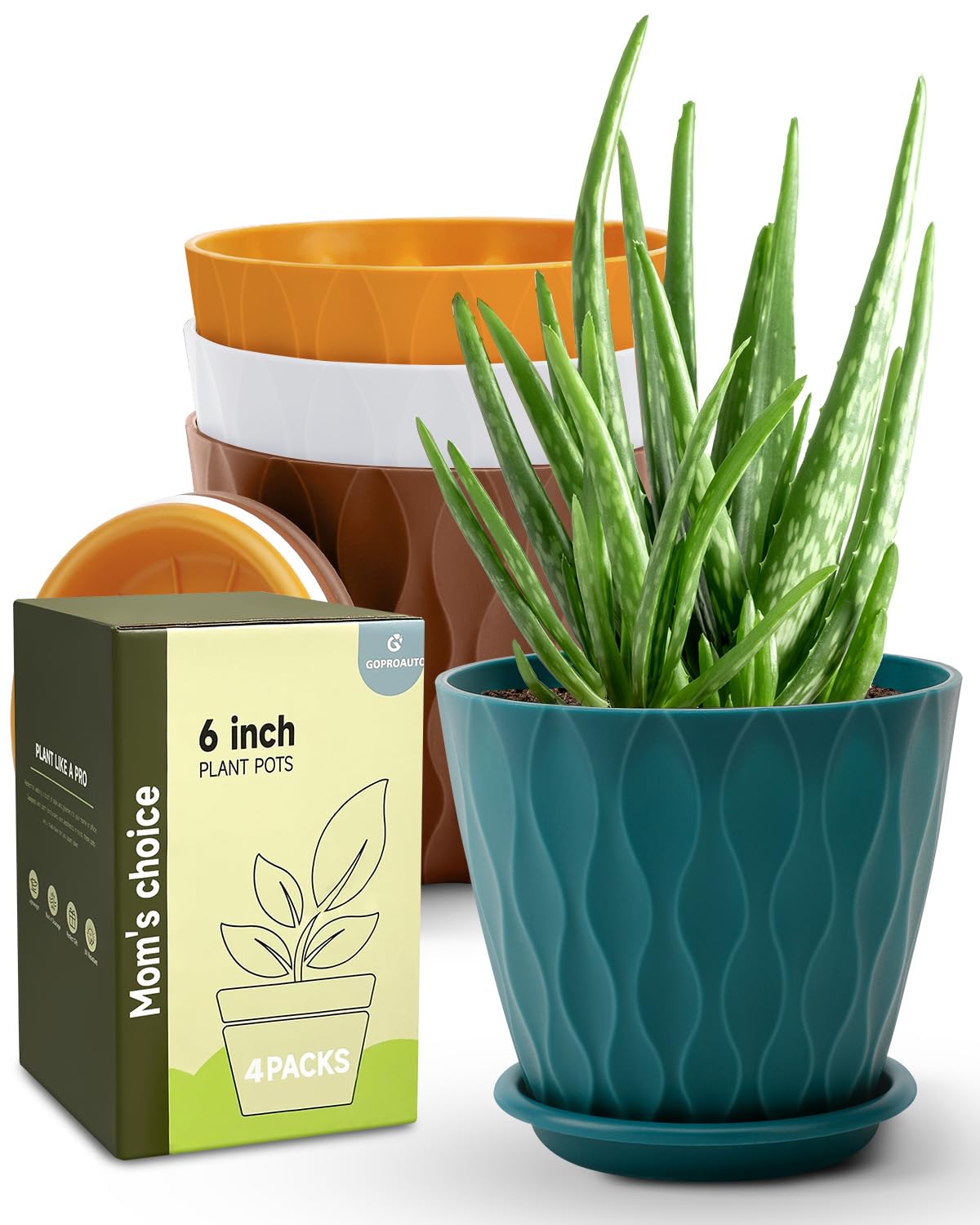 6 Inch Indoor Planter Pots with Drainage Hole and Tray Saucer,Flower Pots for Indoor Outdoor Garden Plants and Flowers, Multicolor, 4 Packs - Amazon.com: Goproauto 6 Inch Indoor Planter Pots w...