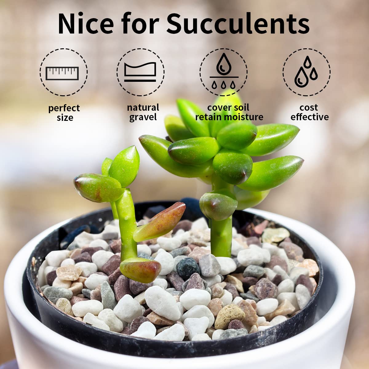 FANTIAN 2 lbs Natural Mixed Color Pea Gravel Pebbles, 3/8 inch Decorative Rocks for Succulents, Pebbles for Indoor Plants, Vases, Aquarium Gravel, Top Dressing, Outdoor Decorative Stones - Hình 6