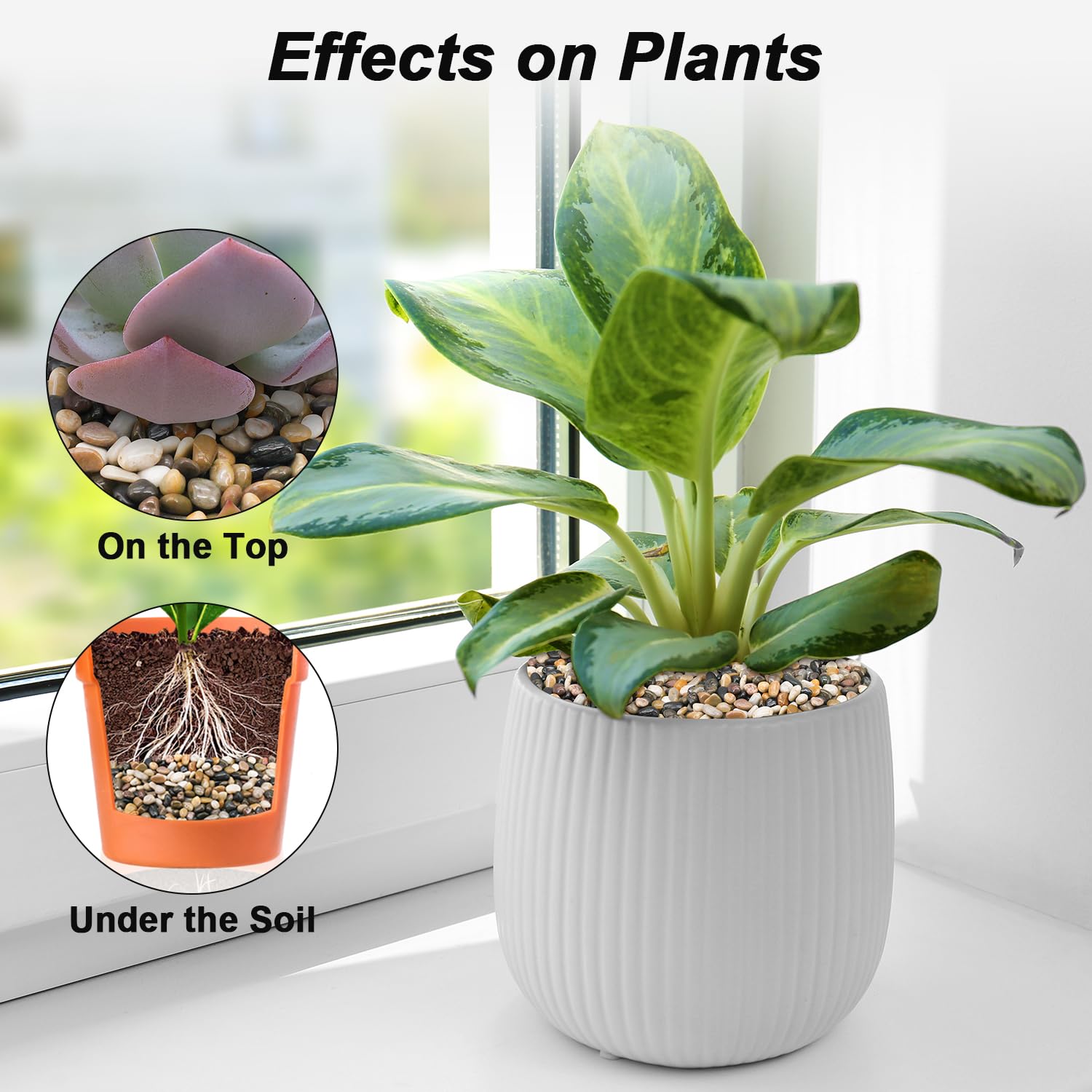 Virekm River Rocks, Decorative Ornamental Pebbles,Garden Landscaping Stones,Gravel Filler for Home Decoration Flower Bed Fish Tank Plants Vases Succulents - Hình 4