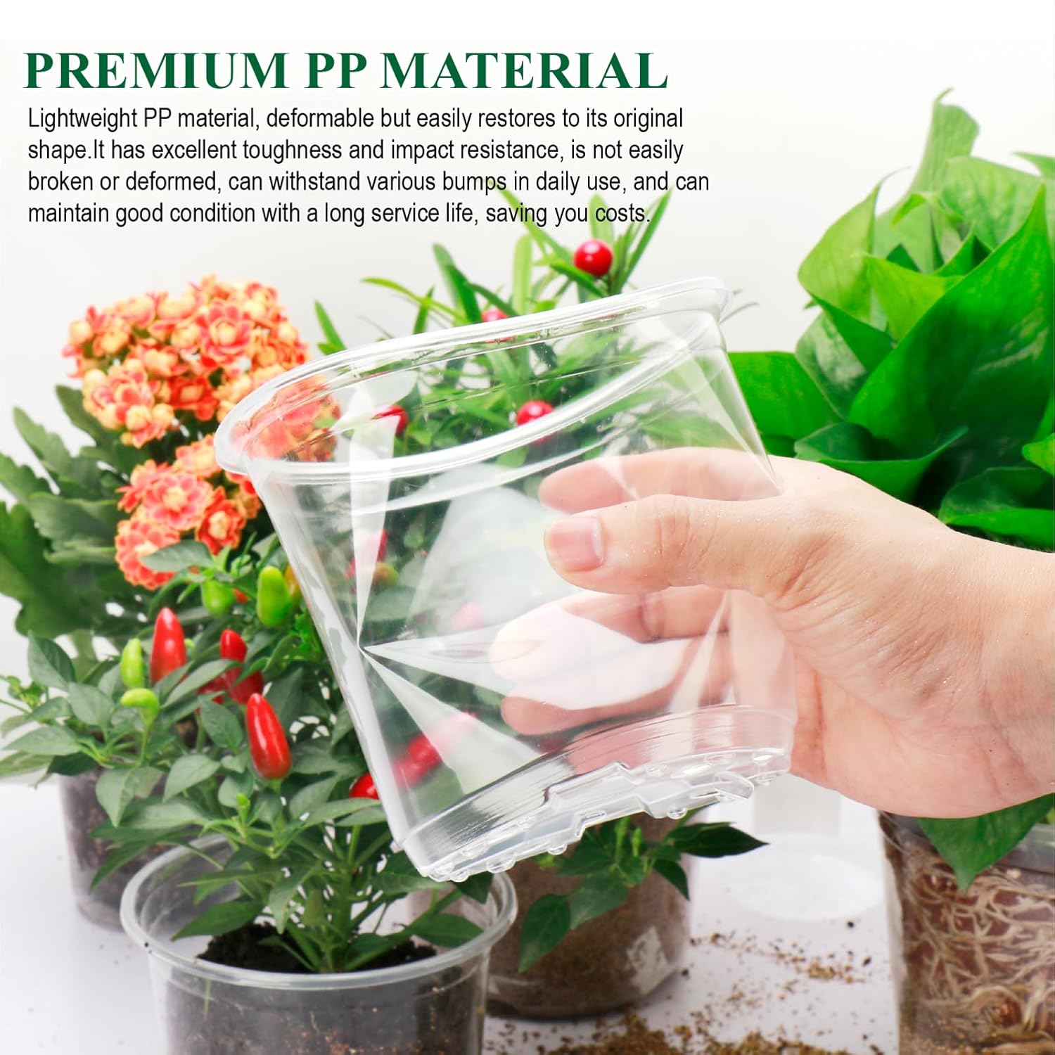 Clear Nursery Pots with Drainage Holes-36 Pack 3/4/5Inch Transparent Plastic Plant Pots for Seed Starting, High Visibility Root Growth Monitoring&50Plant Labels (Transparency-no Lid, 3/4/5in-36p) - Hình 5