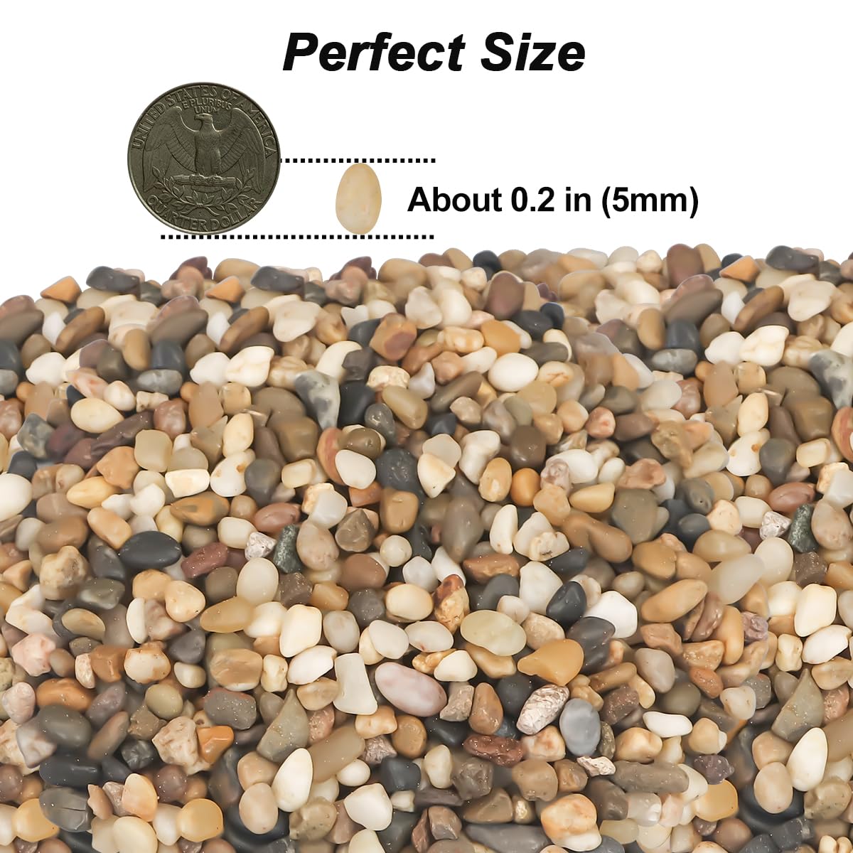 River Rocks,Landscaping Pebbles Decorative Ornamental Pebbles Garden Landscaping Stones Gravel Filler for Home Decoration Flower Bed Fish Tank Plants Vases Succulents (1, Mixed Color, 1 Pound) - Hình 2