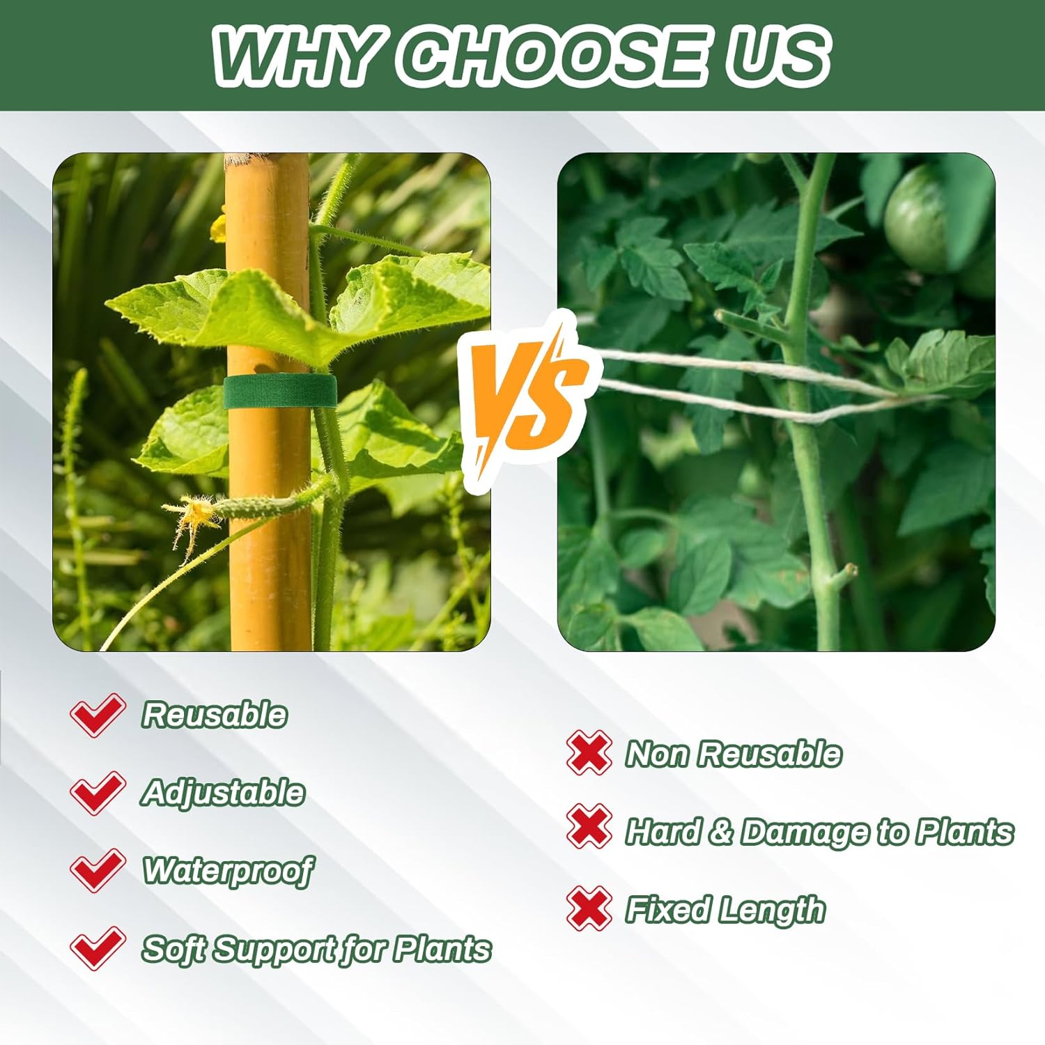 MAQIHAN Plant Tape - 1 Roll Plant Supports for Growing Reusable Adjustable Cut-to-Length 0.47 in x 32.8 ft Indoor Outdoor Use Ideal for Gardening, Tomato, Rose Bushes, Fruit Trees, Green - Hình 4