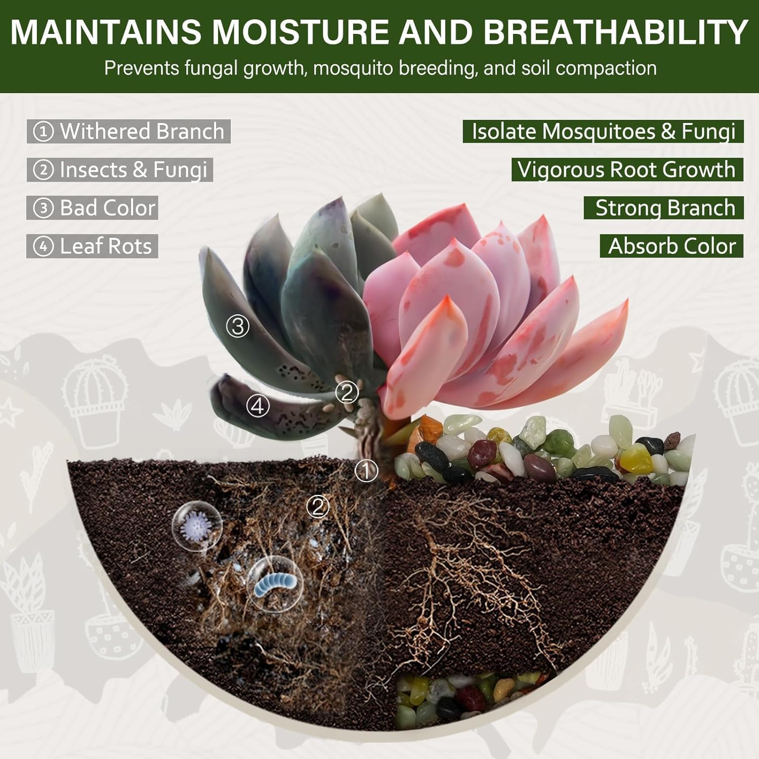 NUPICK 3 lbs Pebbles for Indoor Plants, 3/8 Inch Pea Gravel for Fish Tank, Polished Decorative Rocks for Succulent, Natural River Stones for Vases, Cactus, Landscaping, Bird Bath, Aquarium, Colorful - Hình 2