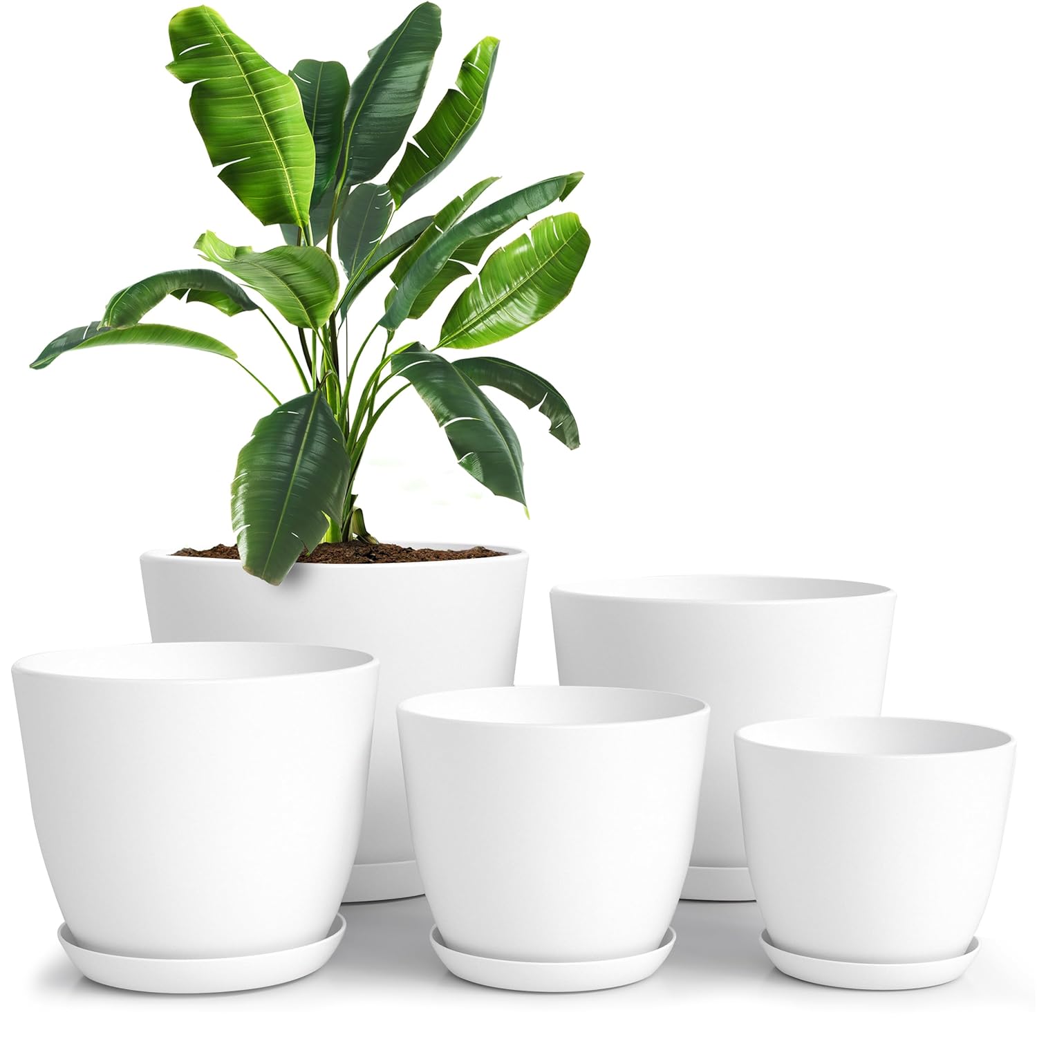 Utopia Home Plant Pots Indoor with Drainage Holes – Set of 5 White Plastic Flower Pots (7/6.6/6/5.3/4.8 Inch) – Modern Planters for Indoor Plants, Room & Office Décor, Great Stocking Stuffers - Amazon.com : Utopia Home Plant Pots Indoor with Dr...