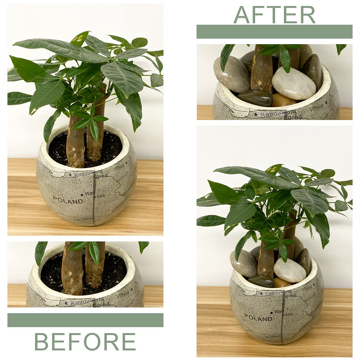 FANTIAN 2 lbs Pebbles for Plants, 1-2 inch Polished River Rocks for Plants Indoor Aquarium Terrarium, Stones for Planters Vase Landscaping and Outdoor Yard Decorative Stones - Hình 3