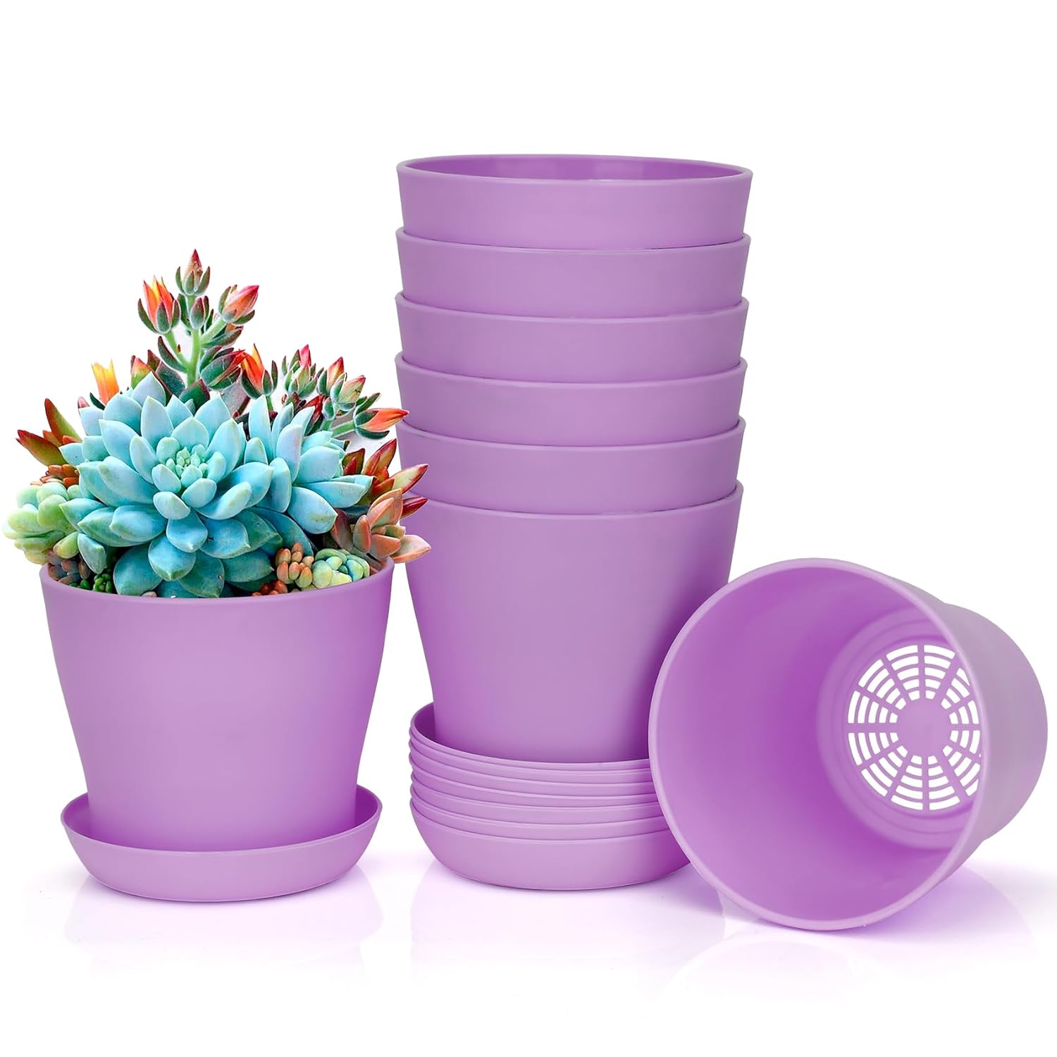 8 Pcs Flower Pots,Succulent Pots,3.8" Pots for Planting.Plastic Pot for Plants for Indoor Plants,Flower Pot for Indoor Planting,Herb Garden Planter Mini - Amazon.com: Bchjatk 8 Pcs Flower Pots,Succulent Po...