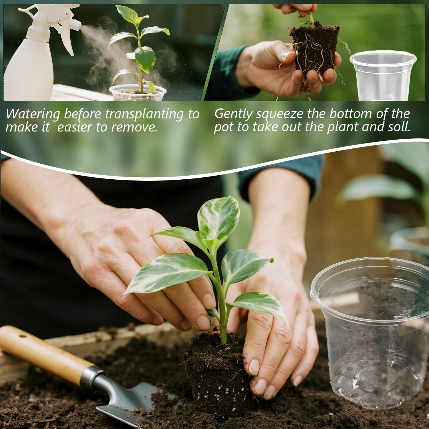 MAFONE Clear Nursery Pots 5/4/3.5 Inch, Plastic Seed Starter High Transparency Plastic Seedling Plant Pot with Drainage Holes15 Labels (15Pcs) - Hình 4