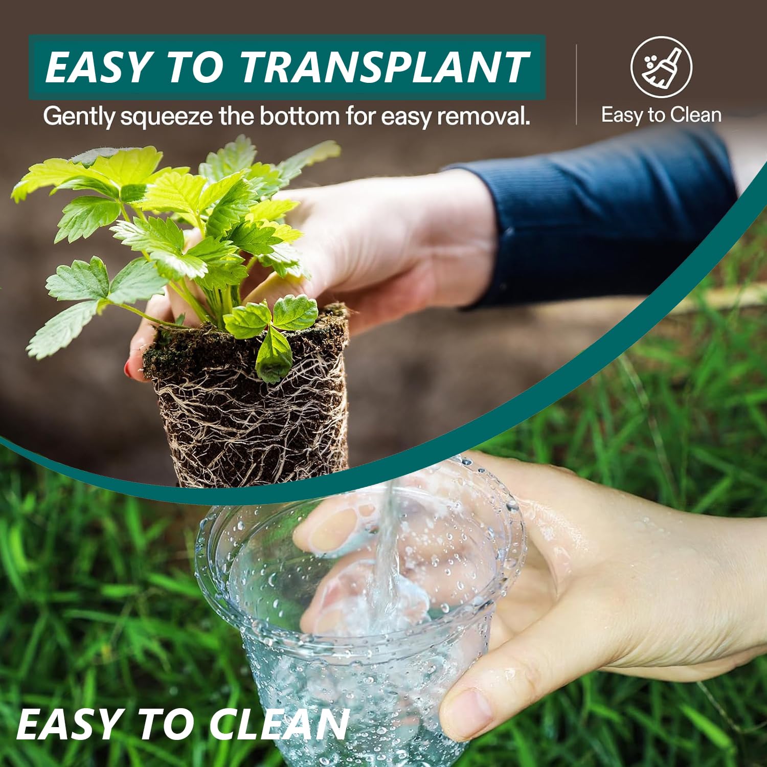 MAFONE Clear Nursery Pots 5/4/3.5 Inch, Plastic Seed Starter High Transparency Plastic Seedling Plant Pot with Drainage Holes15 Labels (15Pcs) - Hình 6