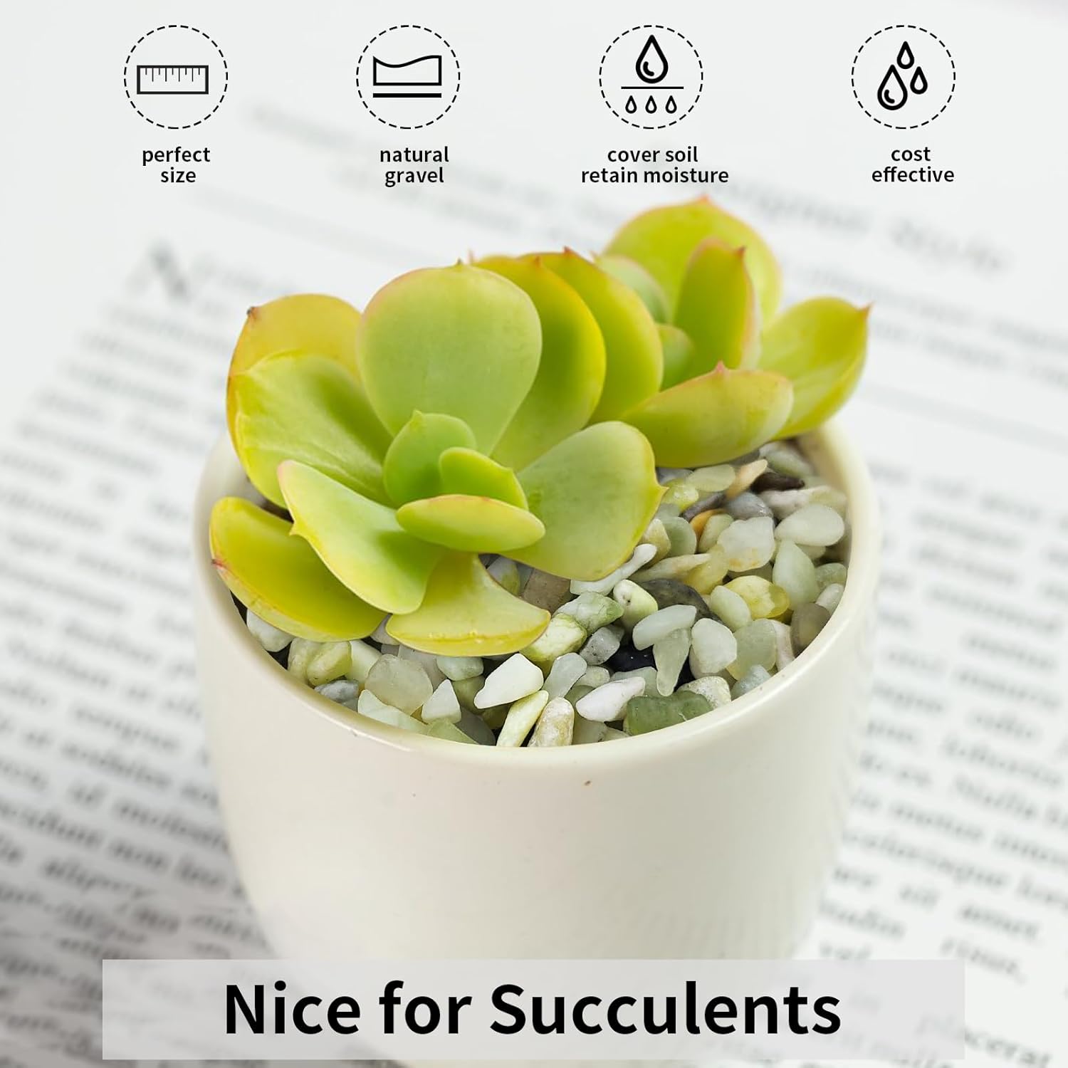 FANTIAN 2 lbs Jade Rocks for Plants Indoor, 3/8 inch Small Pebbles for Indoor Plants, Decorative Rocks for Succulents Cactus Bamboo Vases Landscaping Drainage and Outdoor Garden Rocks - Hình 6