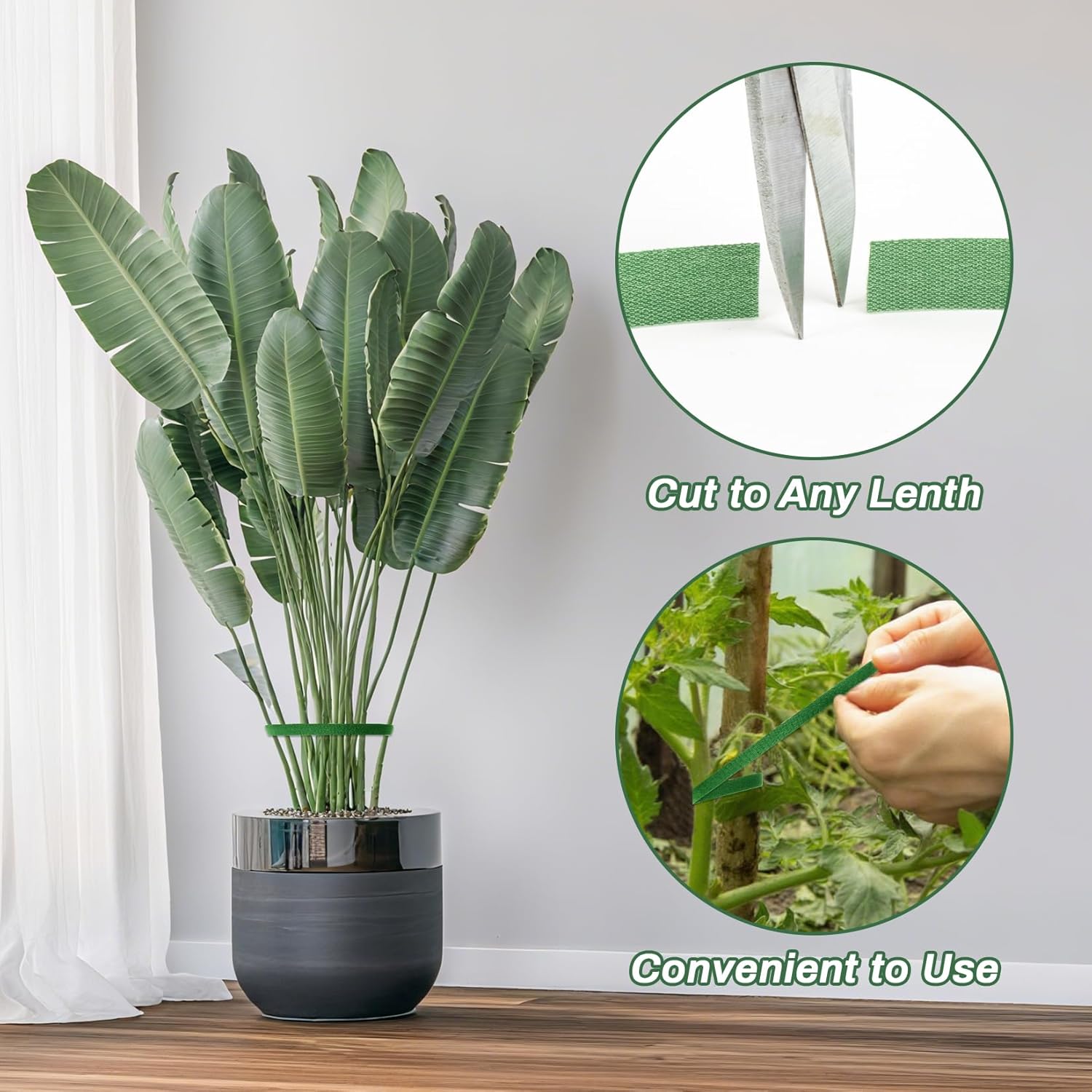 MAQIHAN Plant Tape - 1 Roll Plant Supports for Growing Reusable Adjustable Cut-to-Length 0.47 in x 32.8 ft Indoor Outdoor Use Ideal for Gardening, Tomato, Rose Bushes, Fruit Trees, Green - Hình 7