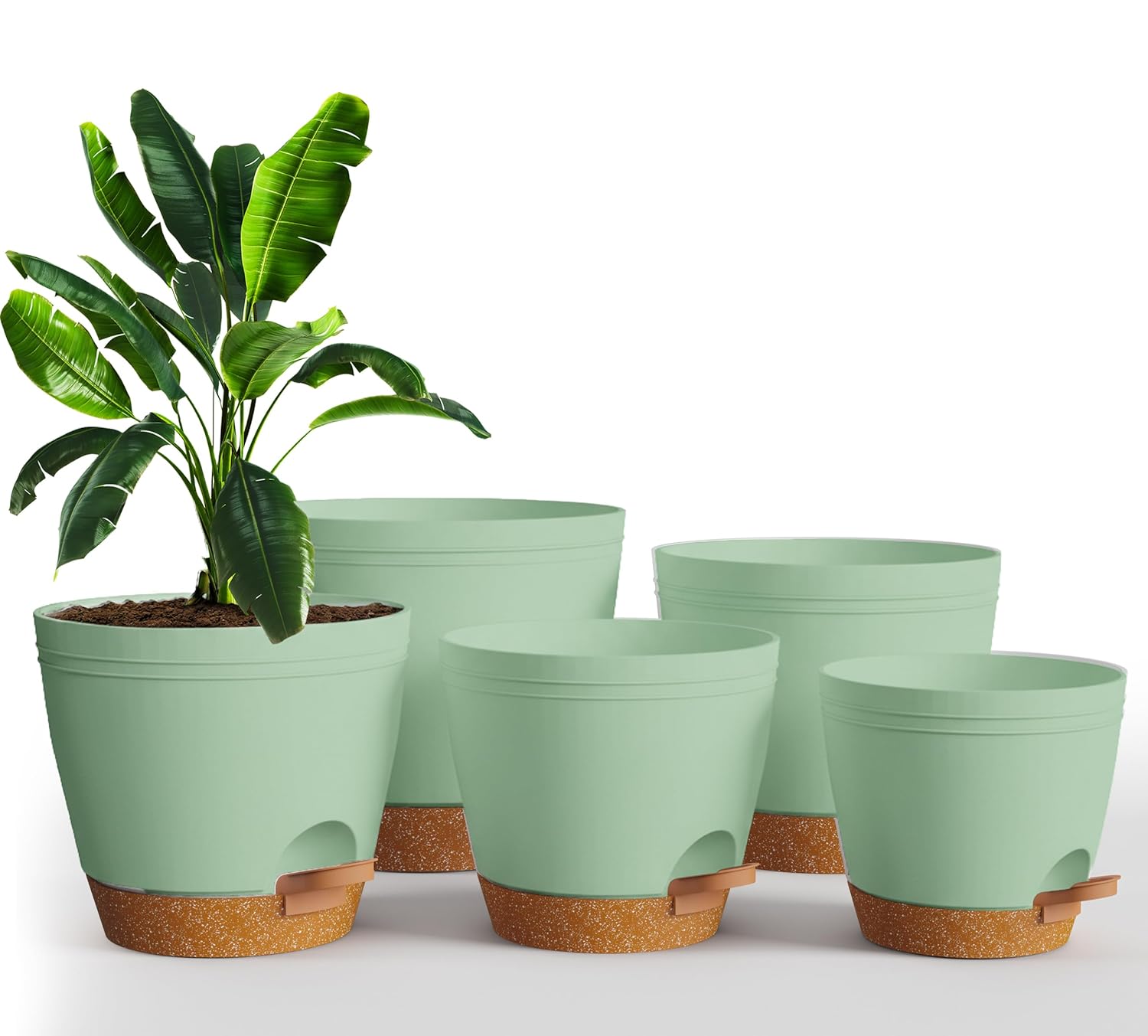 Utopia Home Self Watering Pots for Indoor Plants, Planters for Indoor Plants, Multi-Size Flowerpot, Set of 5 Plant Pots with Drainage & Reservoir, 6.8"/6.4"/5.9"/5.5"/4.9" (Olive Green) - Amazon.com : Utopia Home Self Watering Pots for In...