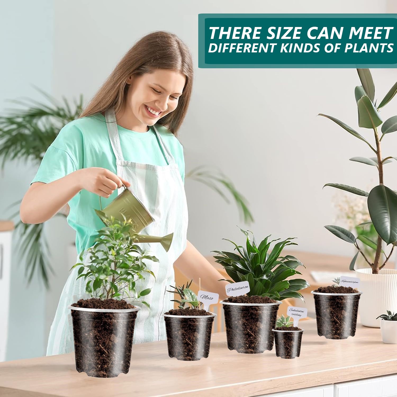 MAFONE Clear Nursery Pots 5/4/3.5 Inch, Plastic Seed Starter High Transparency Plastic Seedling Plant Pot with Drainage Holes15 Labels (15Pcs) - Hình 5