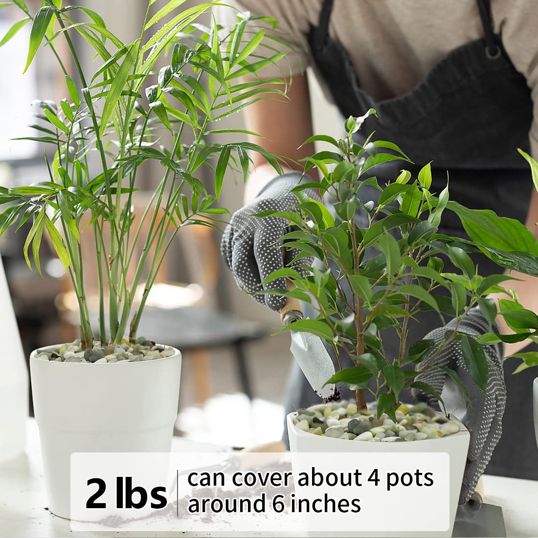 YISZM 2LB Succulent and Cactus Pebbles, 1/5 Inch Jade Natural Decorative Polished Stones, River Rocks for for Indoor Plants, Vases, Planters and Outdoor Gardening - Hình 5