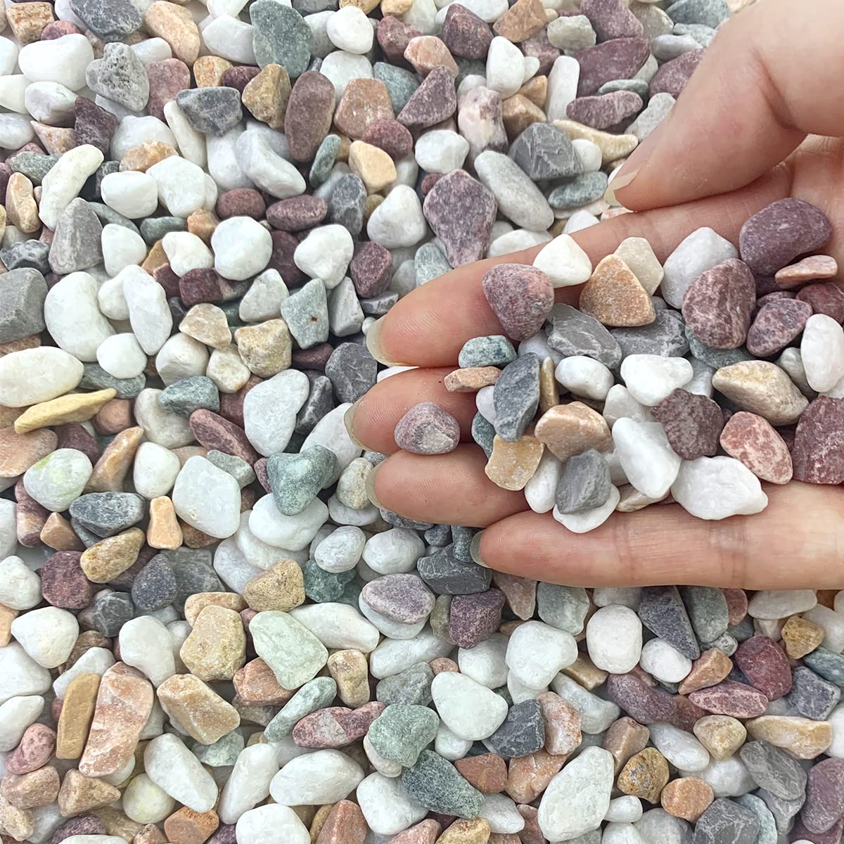 FANTIAN 2 lbs Natural Mixed Color Pea Gravel Pebbles, 3/8 inch Decorative Rocks for Succulents, Pebbles for Indoor Plants, Vases, Aquarium Gravel, Top Dressing, Outdoor Decorative Stones - Amazon.com : FANTIAN 2 lbs Natural Mixed Color Pea...