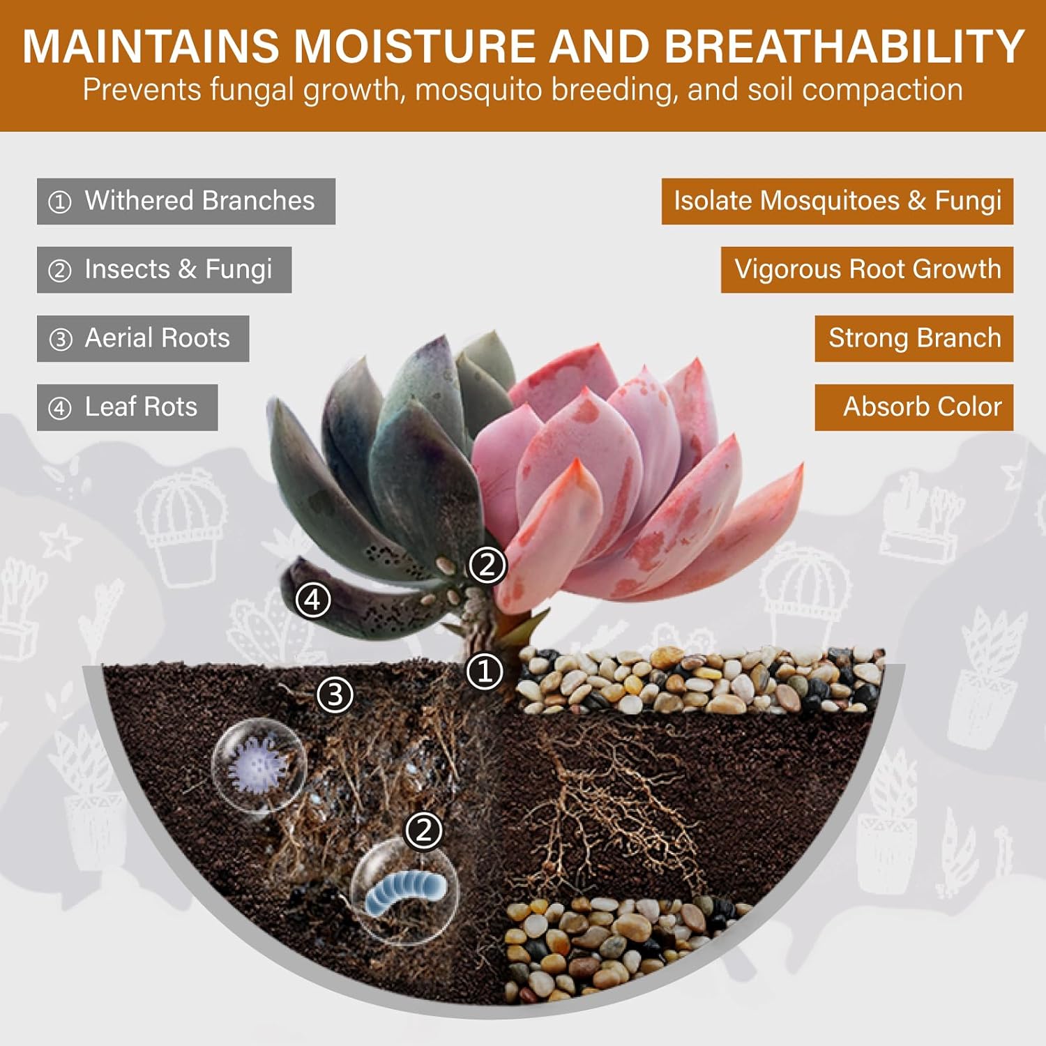 NUPICK 3lb River Rocks for Plants Indoor, 3/8 Inch Mixed Pebbles for Vase Fillers, Decorative Pea Gravel for Fish Tank, Natural Polished Stones for Succulent, Bonsai, Landscaping, Bird Baths - Hình 2