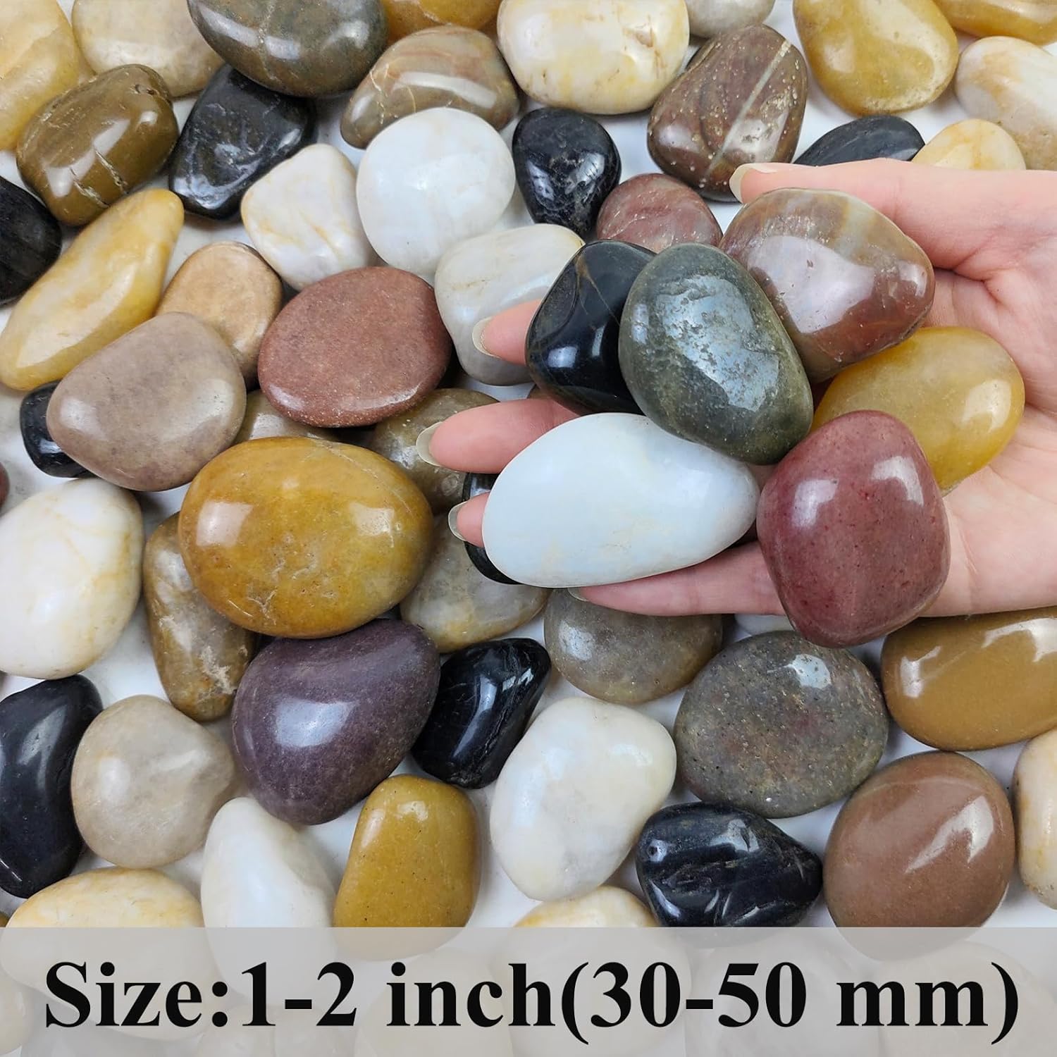 FANTIAN 2 lbs Pebbles for Plants, 1-2 inch Polished River Rocks for Plants Indoor Aquarium Terrarium, Stones for Planters Vase Landscaping and Outdoor Yard Decorative Stones - Hình 2