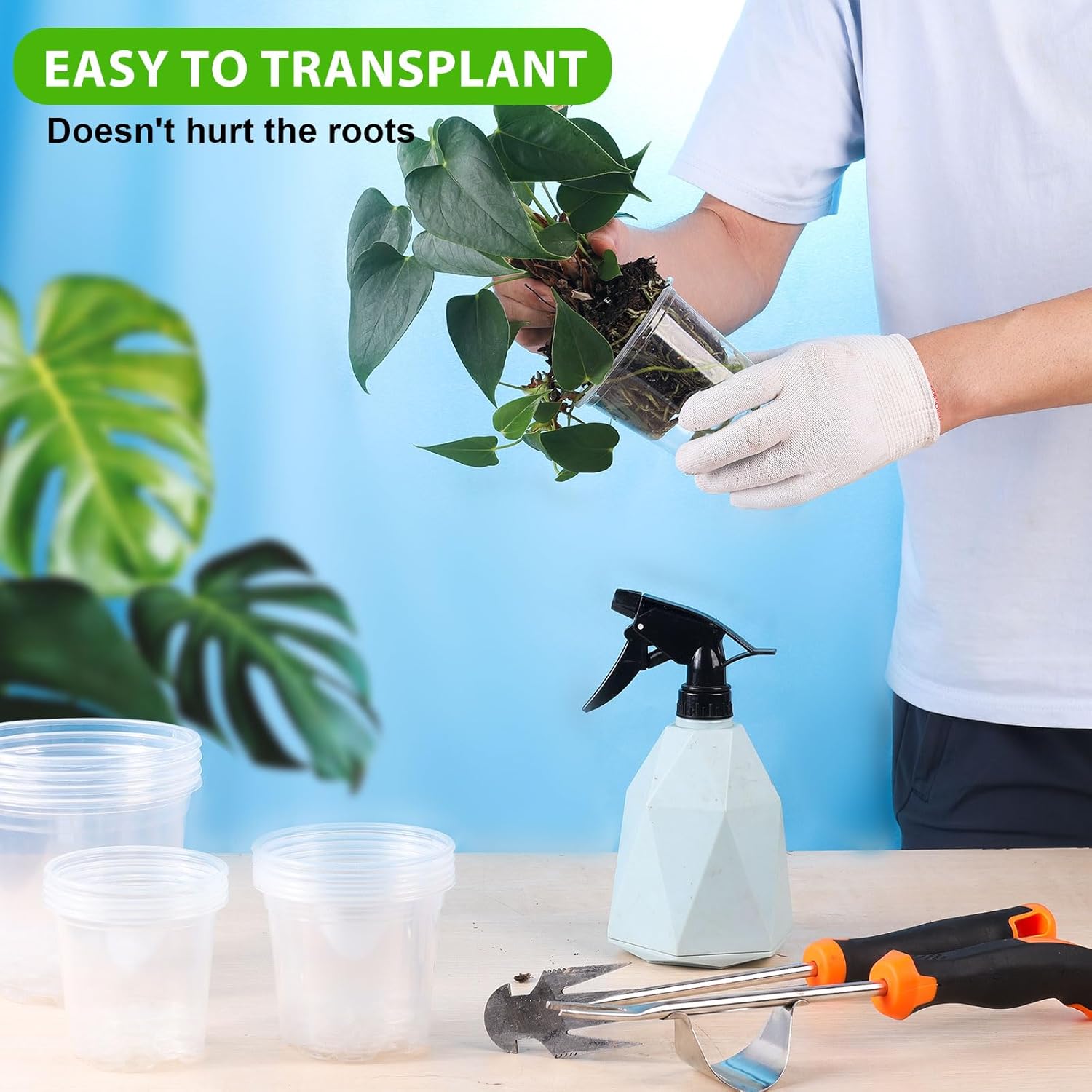 Clear Nursery Pots for Plants, 3.5/4/5 inch Plastic Plant Flower Pot with Drainage Holes High Transparency Seedling Planter for Seed Starter (36PCS) - Hình 2