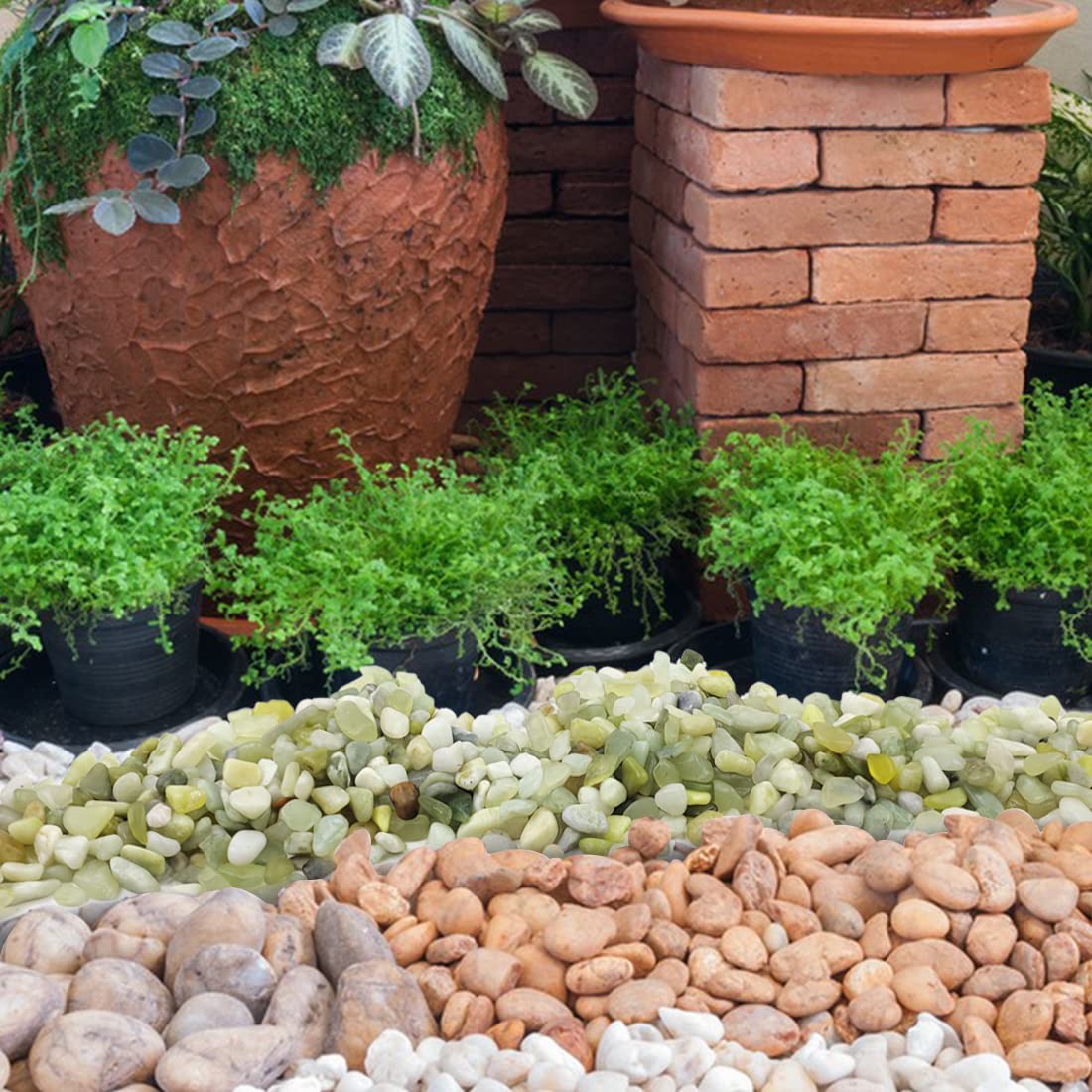 YISZM 2LB Succulent and Cactus Pebbles, 1/5 Inch Jade Natural Decorative Polished Stones, River Rocks for for Indoor Plants, Vases, Planters and Outdoor Gardening - Hình 6