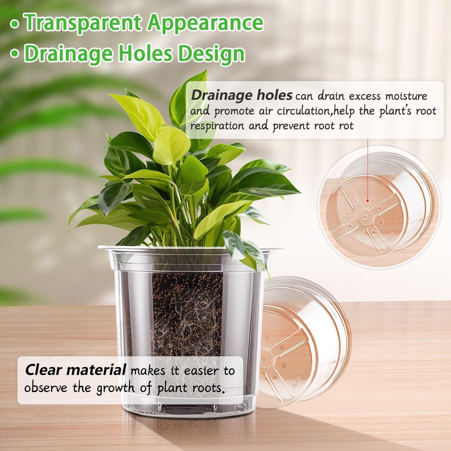 SupKing 5 Inch Clear Plant Nursery Pots Durable Plastic Seed Starter 8 Packs Large Orchid Flower Pot with Drainage Holes for Transplanting Succulents Cuttings Seedlings Bonus 15 Labels - Hình 3