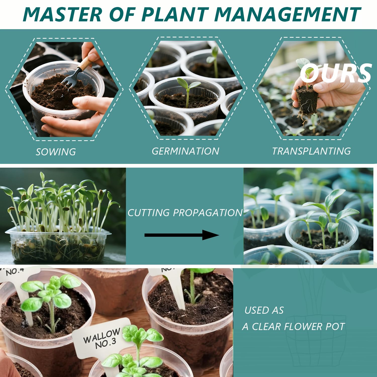 MAFONE Clear Nursery Pots 5/4/3.5 Inch, Plastic Seed Starter High Transparency Plastic Seedling Plant Pot with Drainage Holes15 Labels (15Pcs) - Hình 7