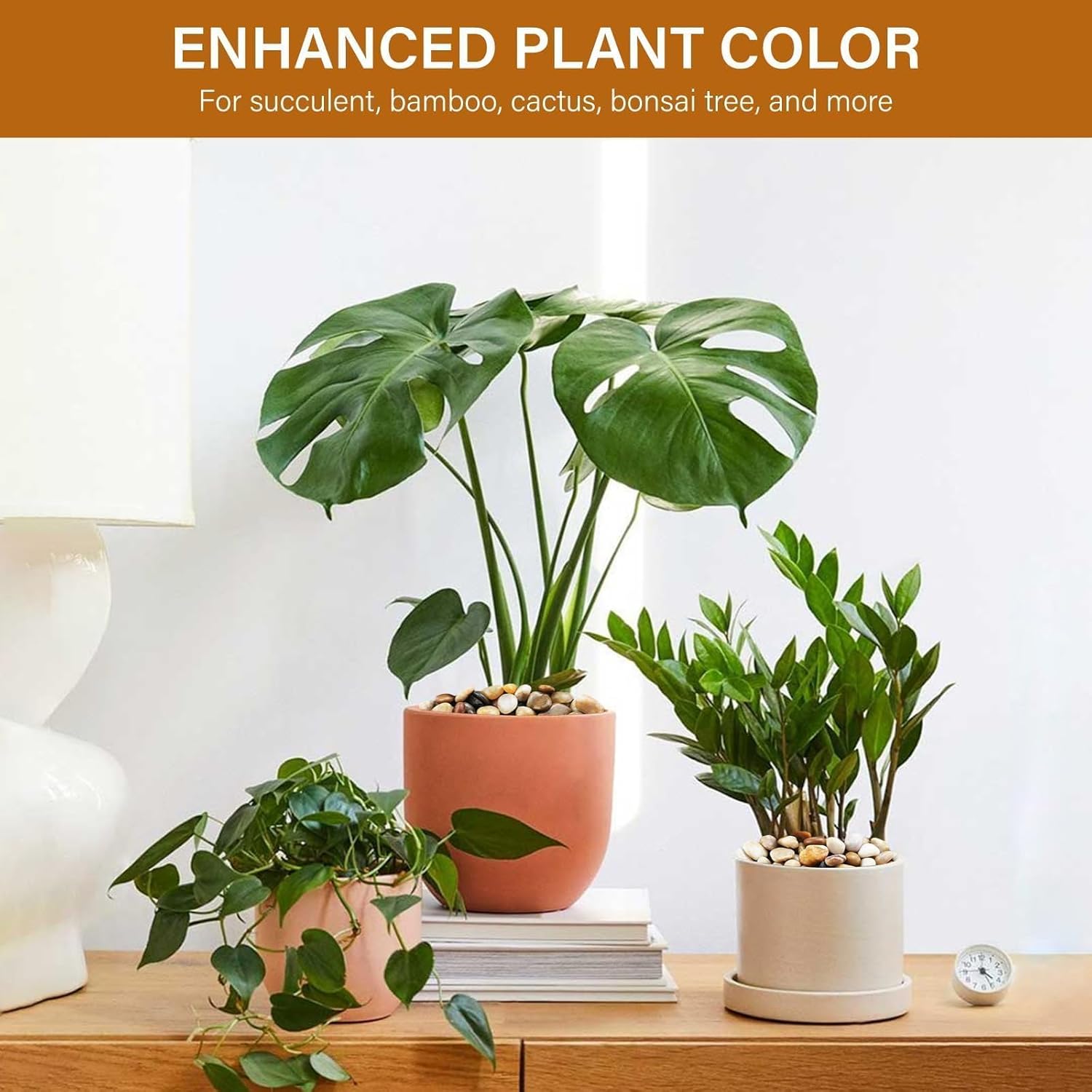 NUPICK 3lb River Rocks for Plants Indoor, 3/8 Inch Mixed Pebbles for Vase Fillers, Decorative Pea Gravel for Fish Tank, Natural Polished Stones for Succulent, Bonsai, Landscaping, Bird Baths - Hình 4