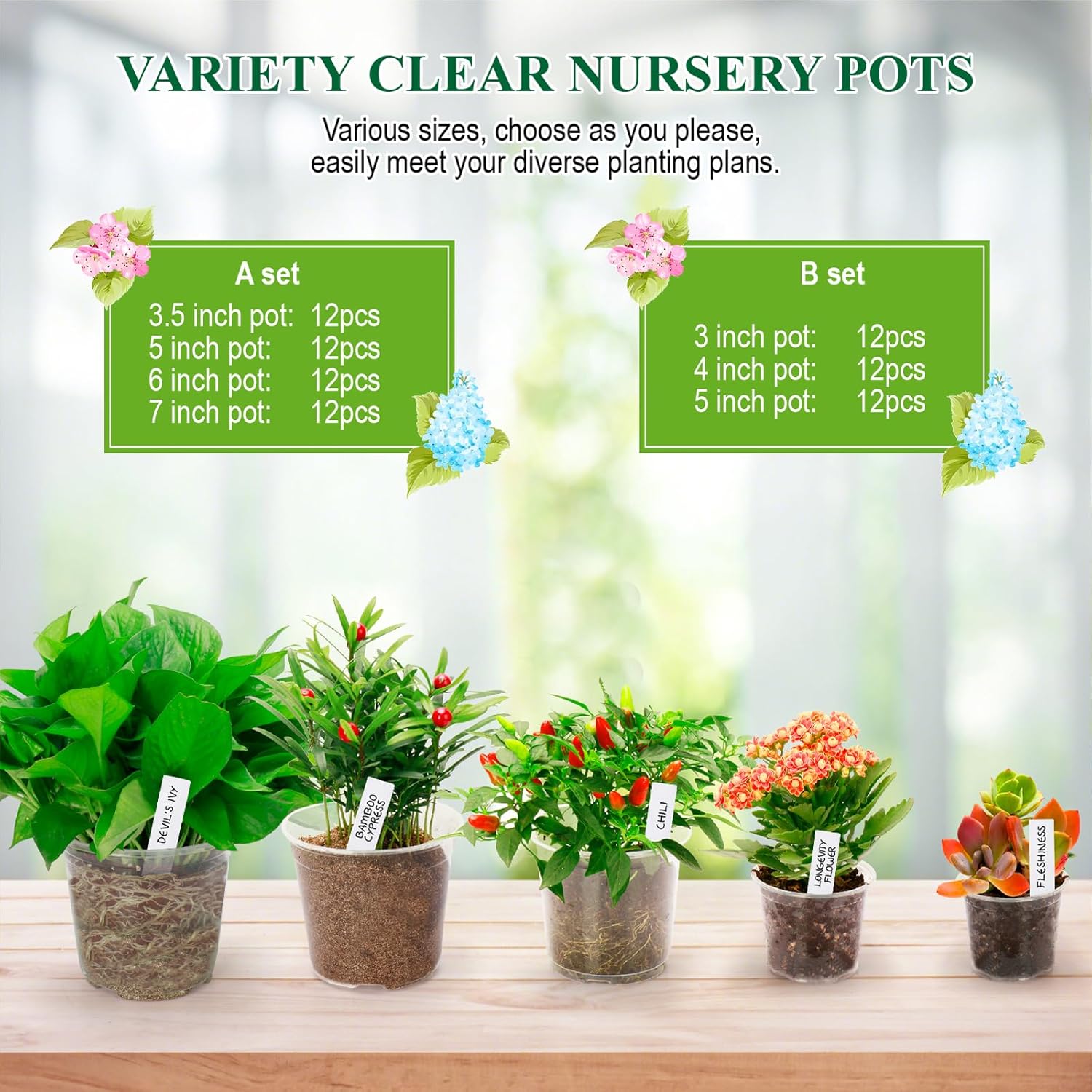 Clear Nursery Pots with Drainage Holes-36 Pack 3/4/5Inch Transparent Plastic Plant Pots for Seed Starting, High Visibility Root Growth Monitoring&50Plant Labels (Transparency-no Lid, 3/4/5in-36p) - Hình 6