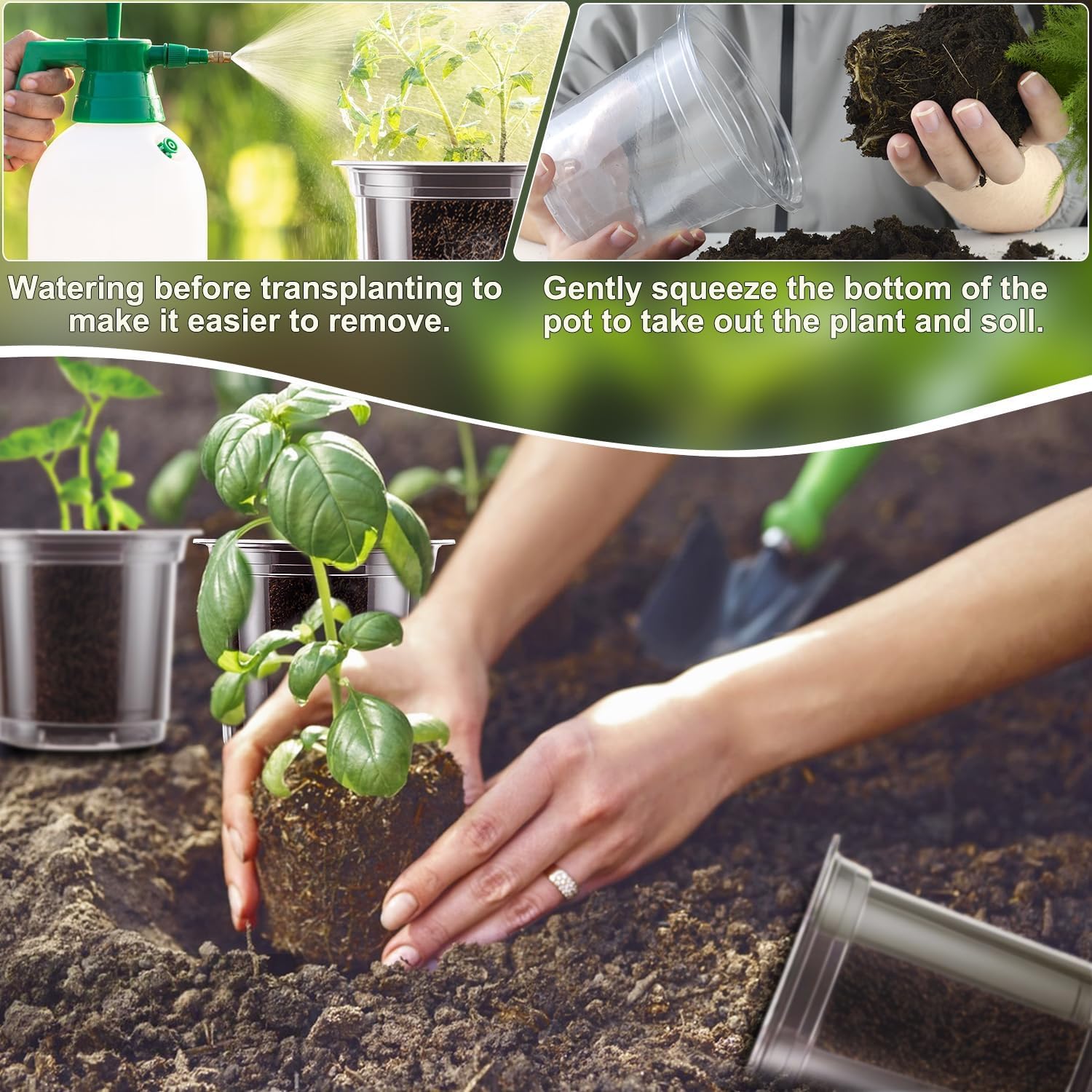 SupKing 5 Inch Clear Plant Nursery Pots Durable Plastic Seed Starter 8 Packs Large Orchid Flower Pot with Drainage Holes for Transplanting Succulents Cuttings Seedlings Bonus 15 Labels - Hình 4