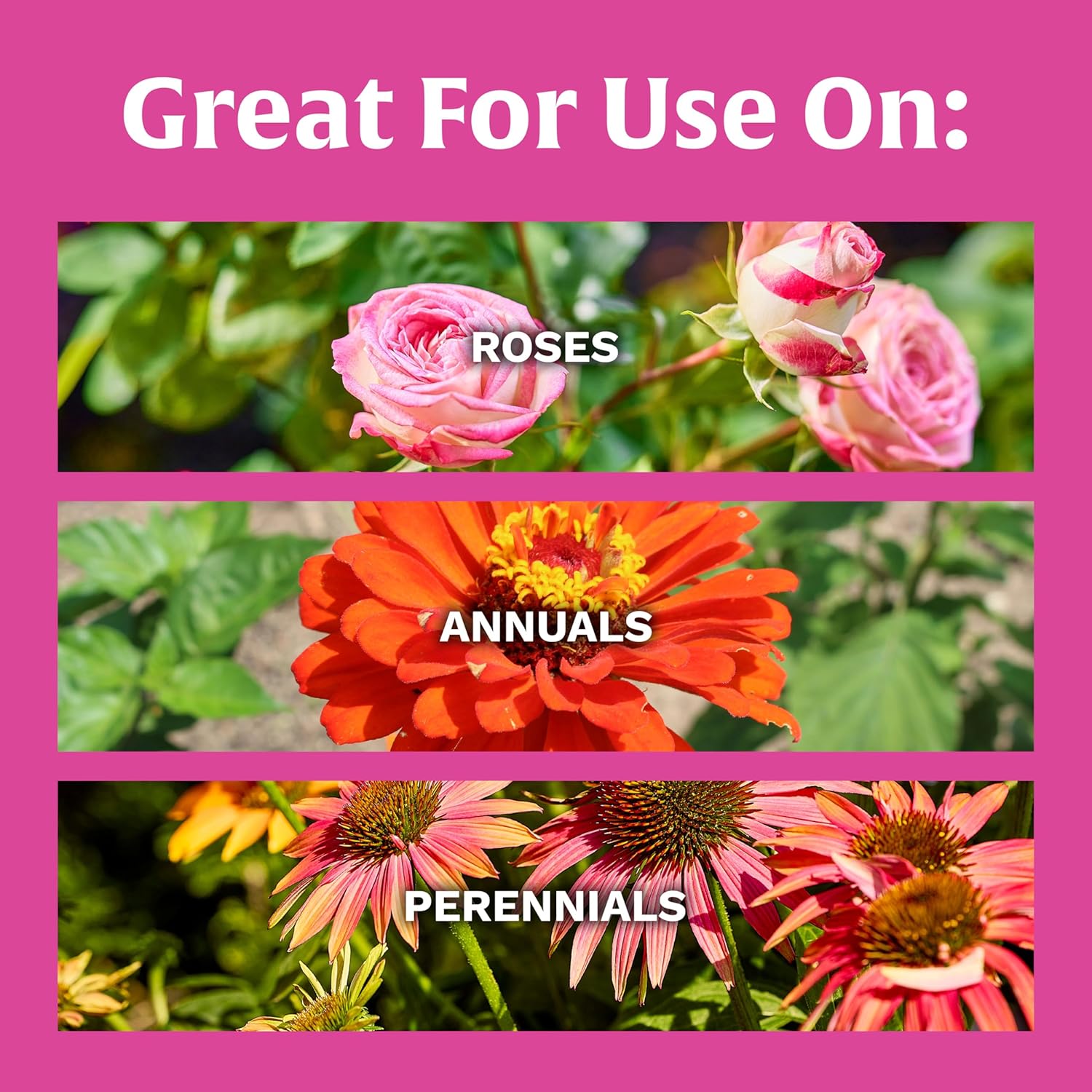 Scotts Rose & Bloom Continuous Release Plant Food, 3 lb - Hình 3