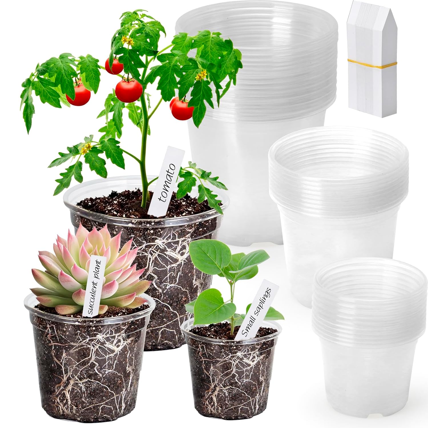 Clear Nursery Pots with Drainage Holes-36 Pack 3/4/5Inch Transparent Plastic Plant Pots for Seed Starting, High Visibility Root Growth Monitoring&50Plant Labels (Transparency-no Lid, 3/4/5in-36p) - Amazon.com: Clear Nursery Pots with Drainage Holes...