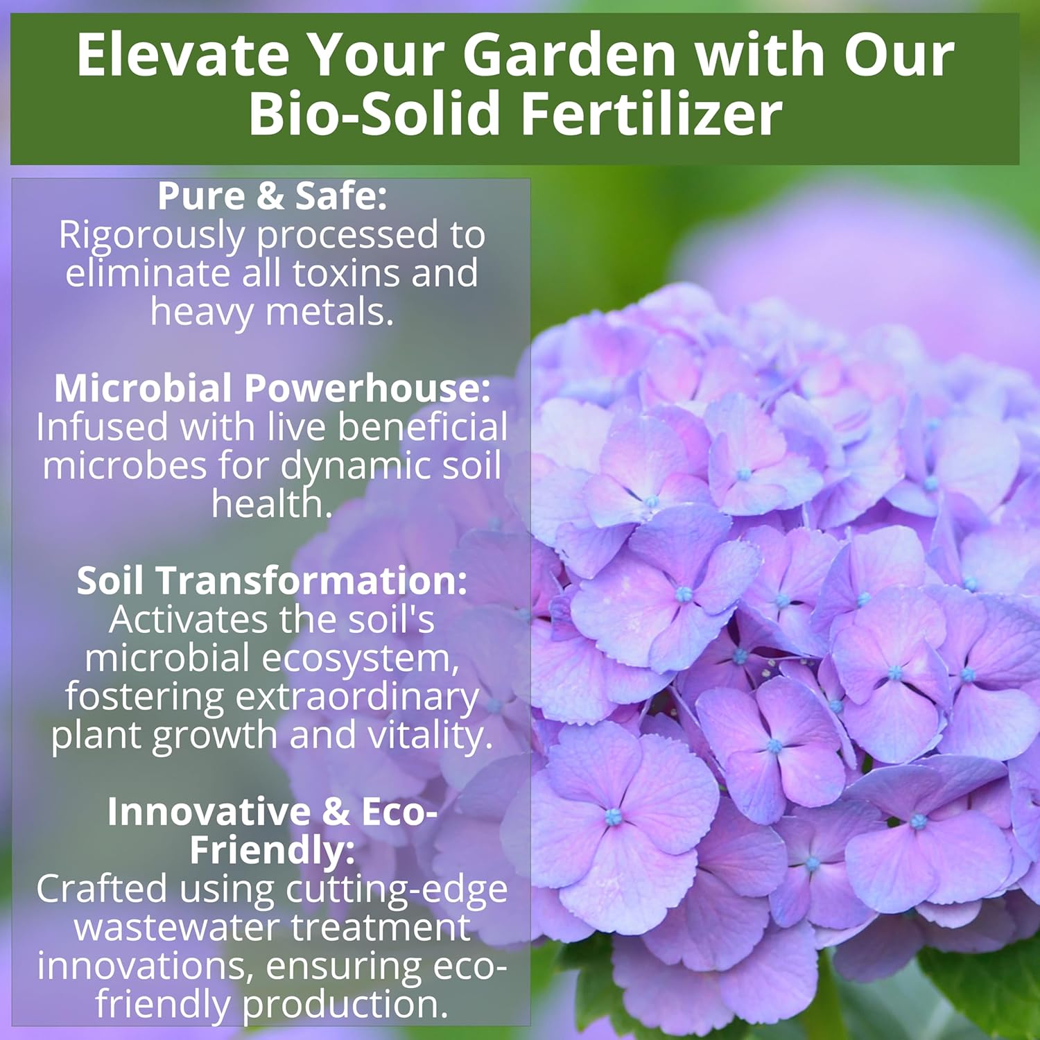 GARDENWISE 8-4-8 Acidic Fertilizer for Azaleas, Camellias (Camelia), Hydrangeas, Blueberries, Gardenias, Magnolia Trees, Evergreens, and Rhododendrons - Ideal Iron-Rich Plant Food (12 OZ) - Hình 5